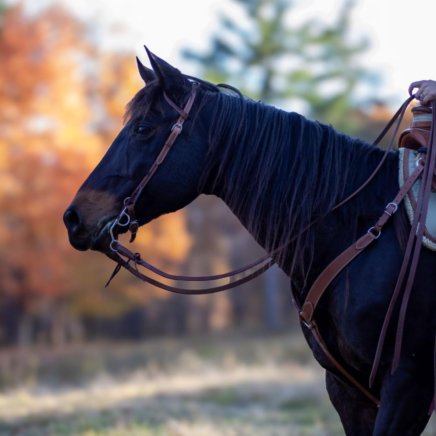 Shires Velociti Split Reins with Ties-Western Tack-Pegasus-Dark Oil-Evolution Equestrian Co.