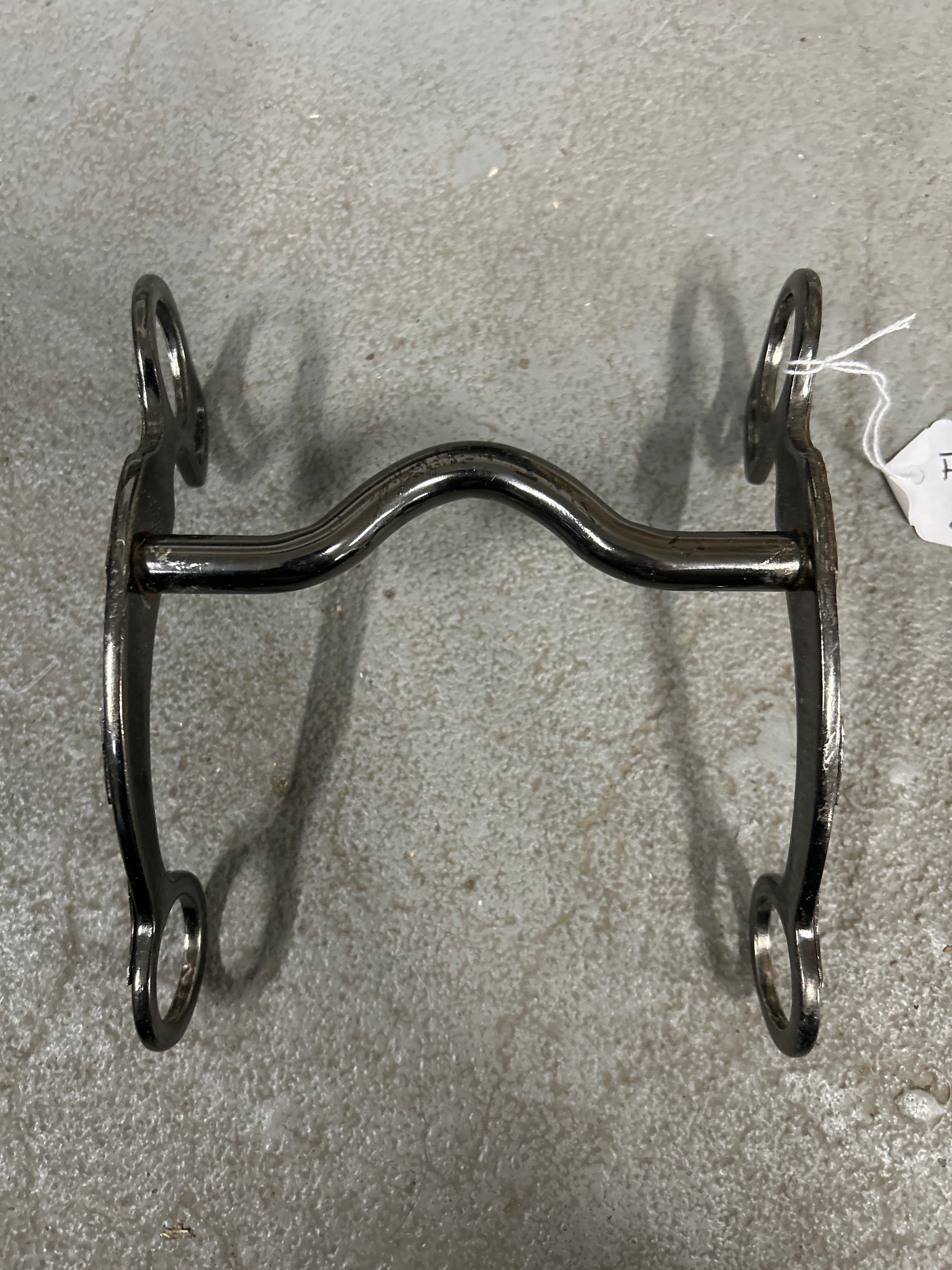 Short Shanked Western Show Bit-Bit-Consignment-Evolution Equestrian Co.