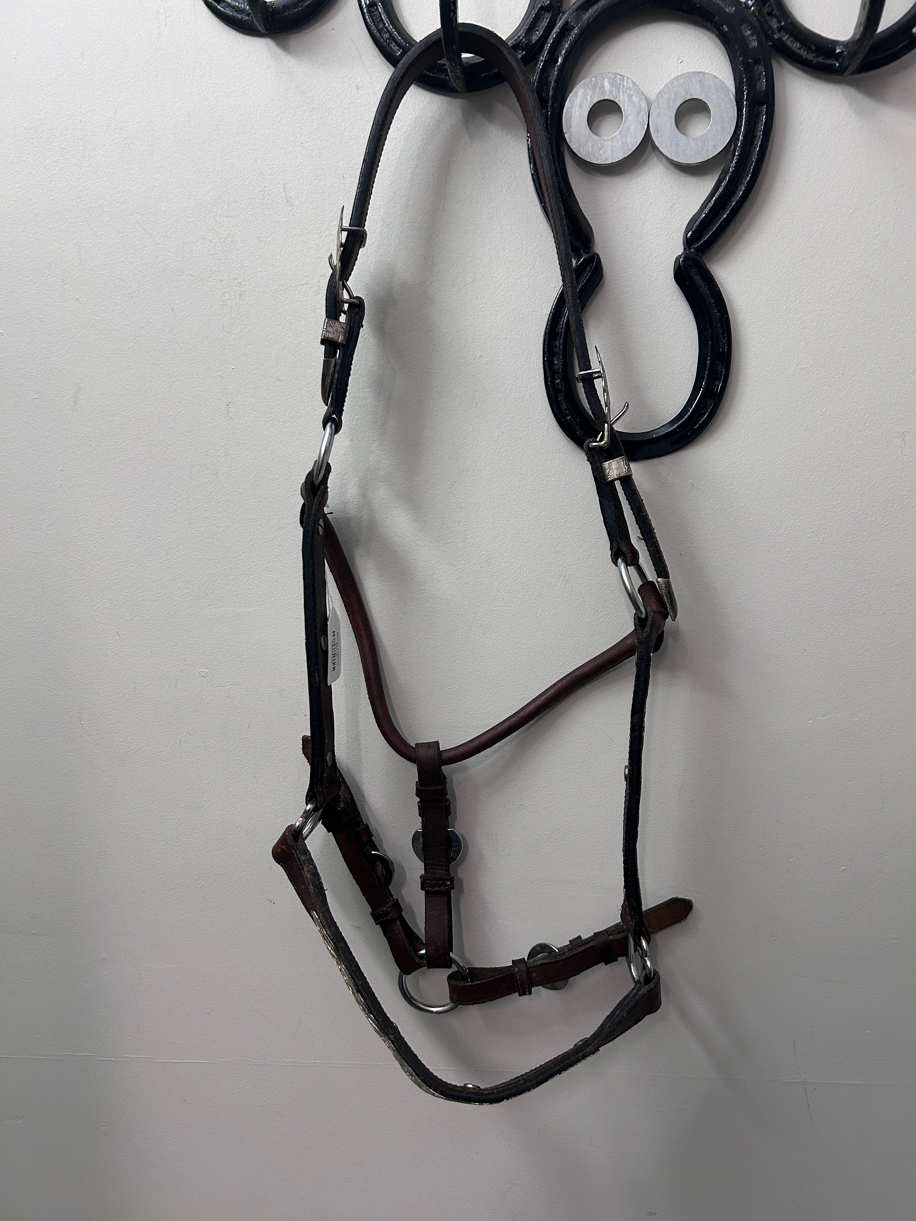 Show Halter-Show Halter-Consignment-Evolution Equestrian Co.