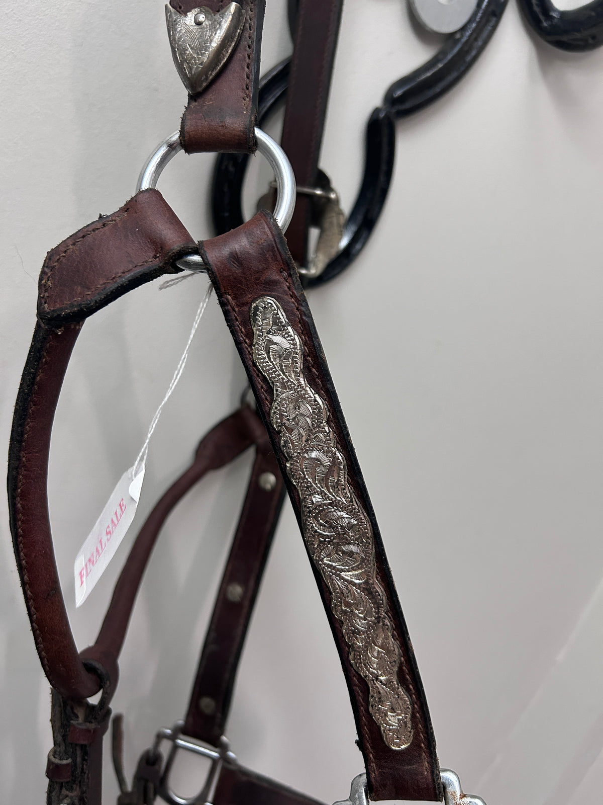 Show Halter-Show Halter-Consignment-Evolution Equestrian Co.