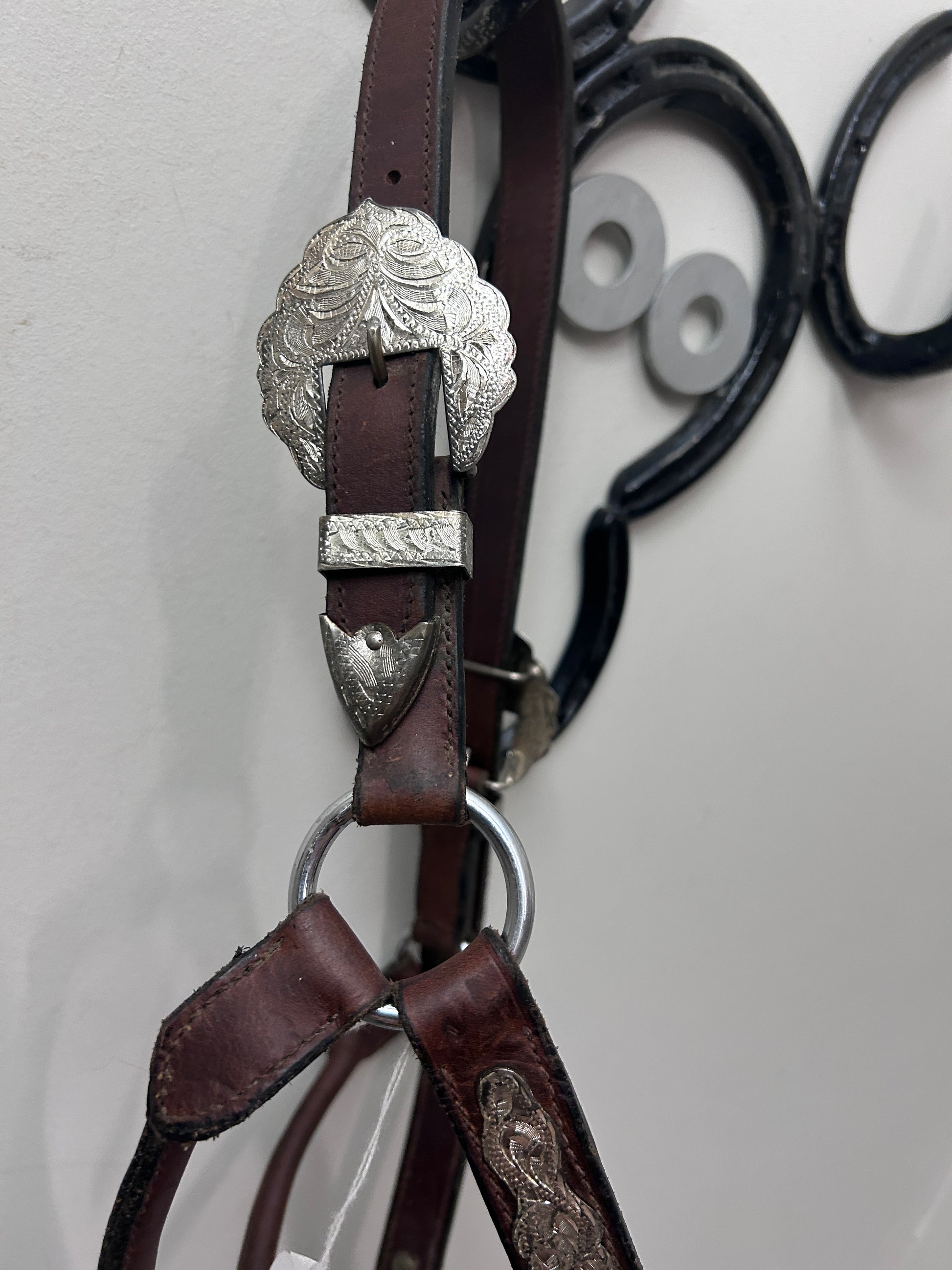 Show Halter-Show Halter-Consignment-Evolution Equestrian Co.