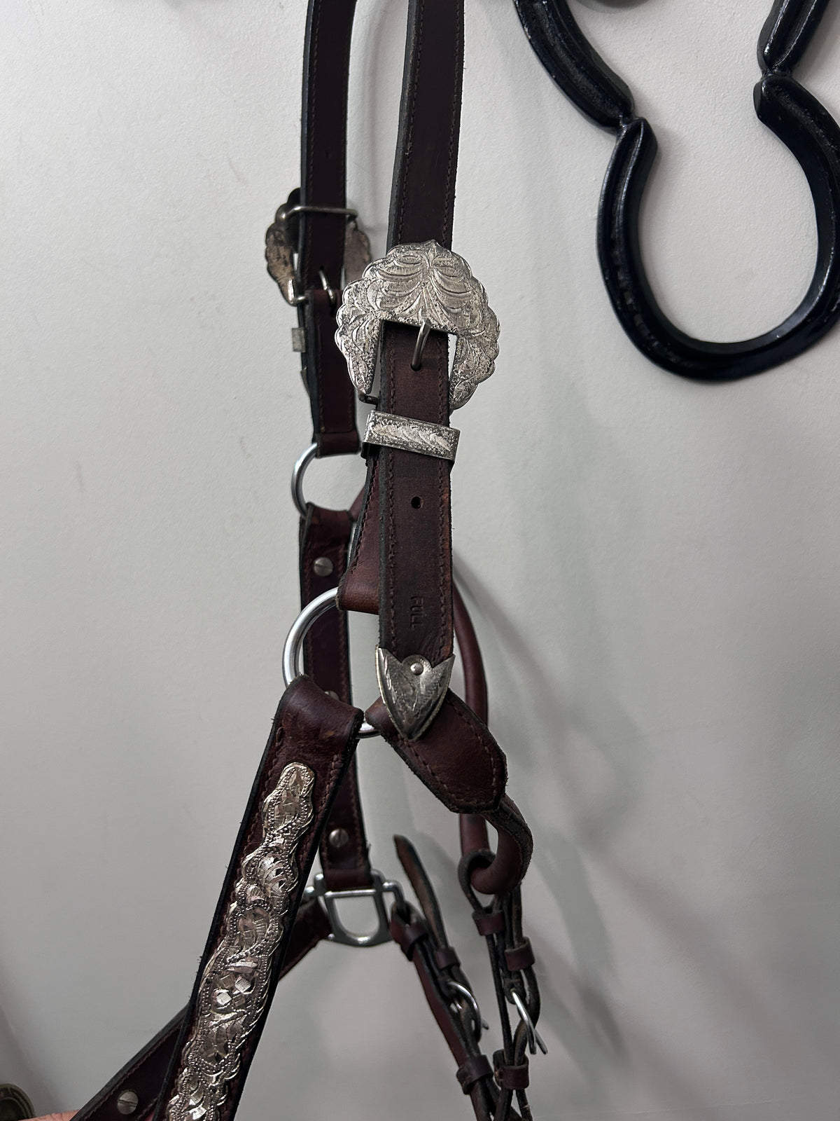 Show Halter-Show Halter-Consignment-Evolution Equestrian Co.