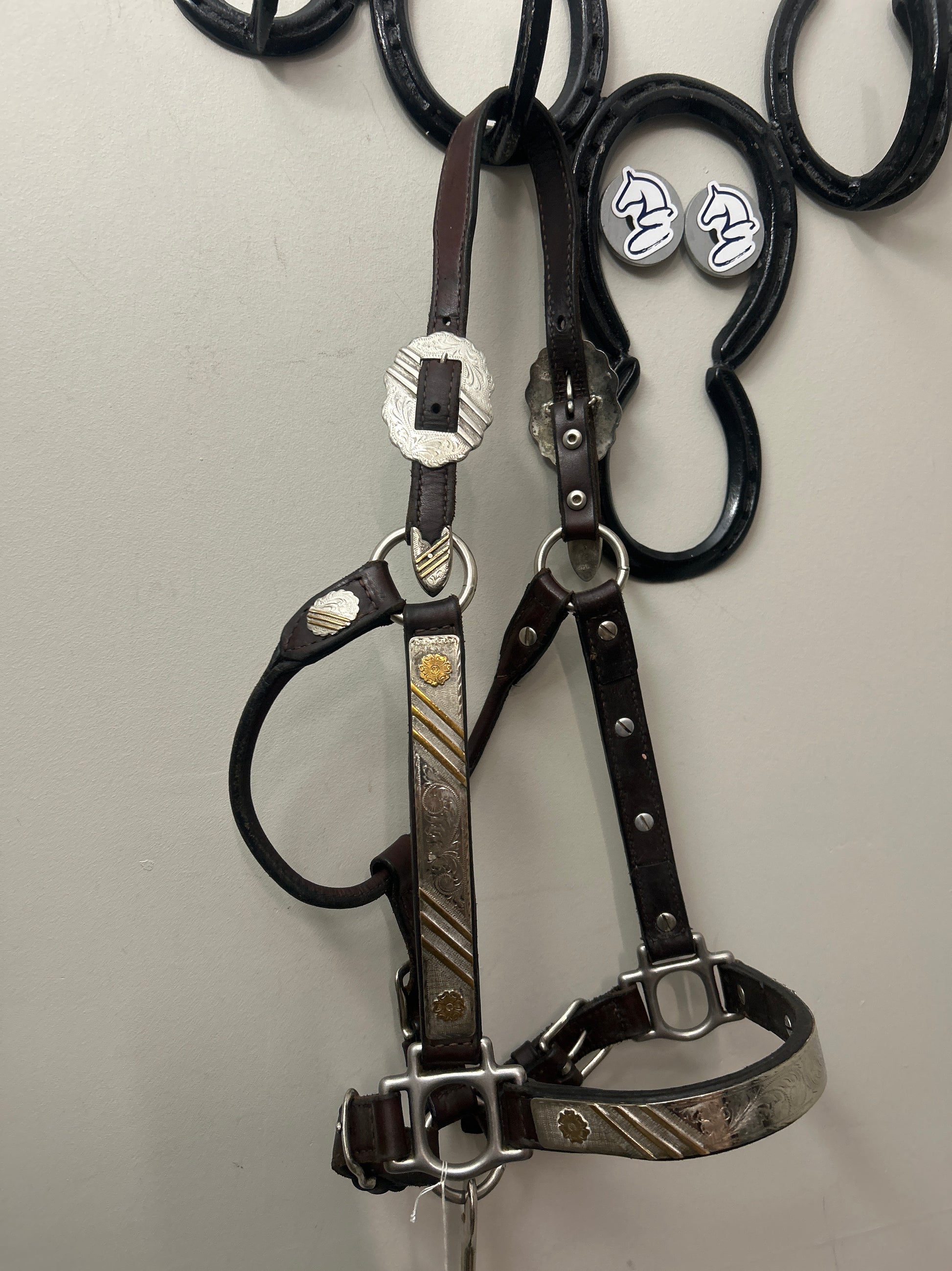 Show Halter with Lead-Show Halter-Consignment-Evolution Equestrian Co.