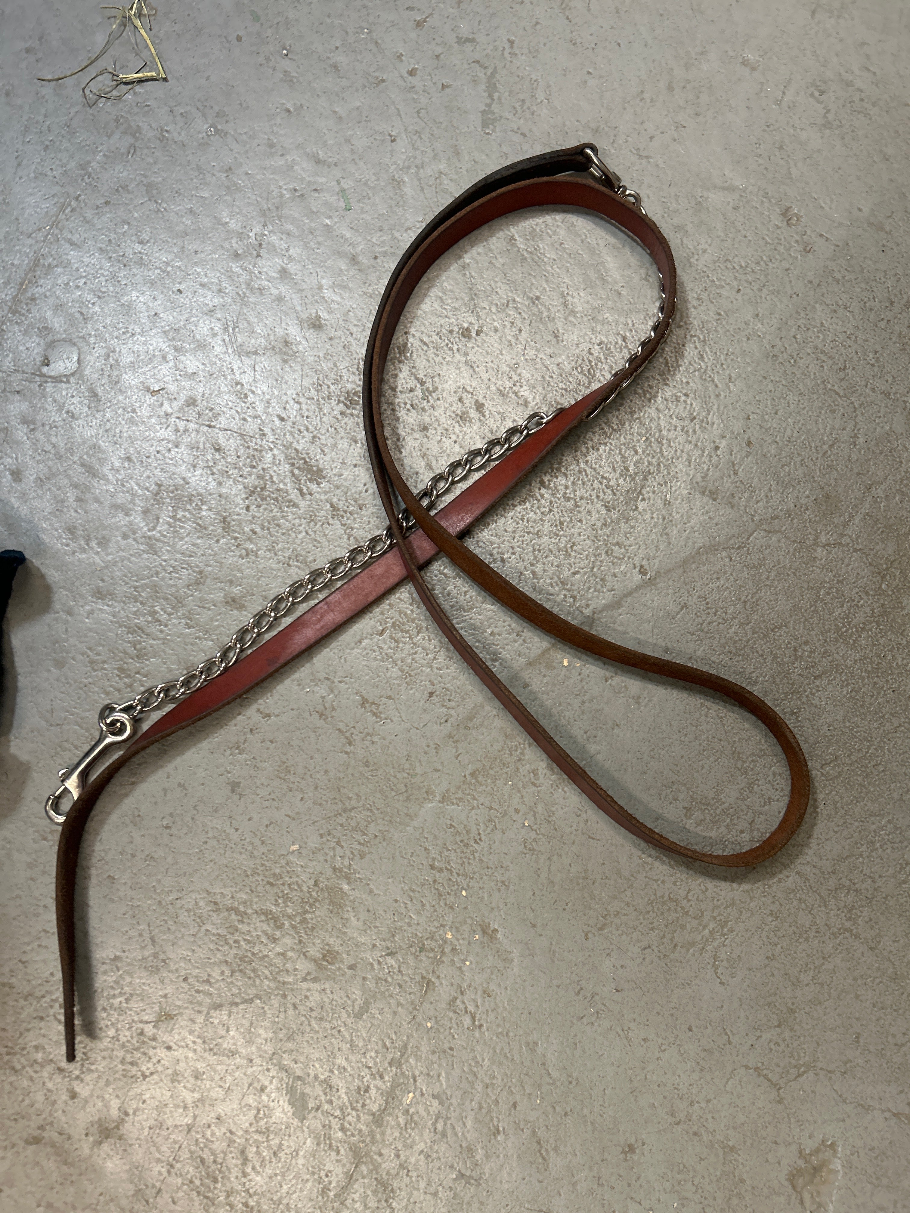 Show Halter with Lead-Show Halter-Consignment-Evolution Equestrian Co.