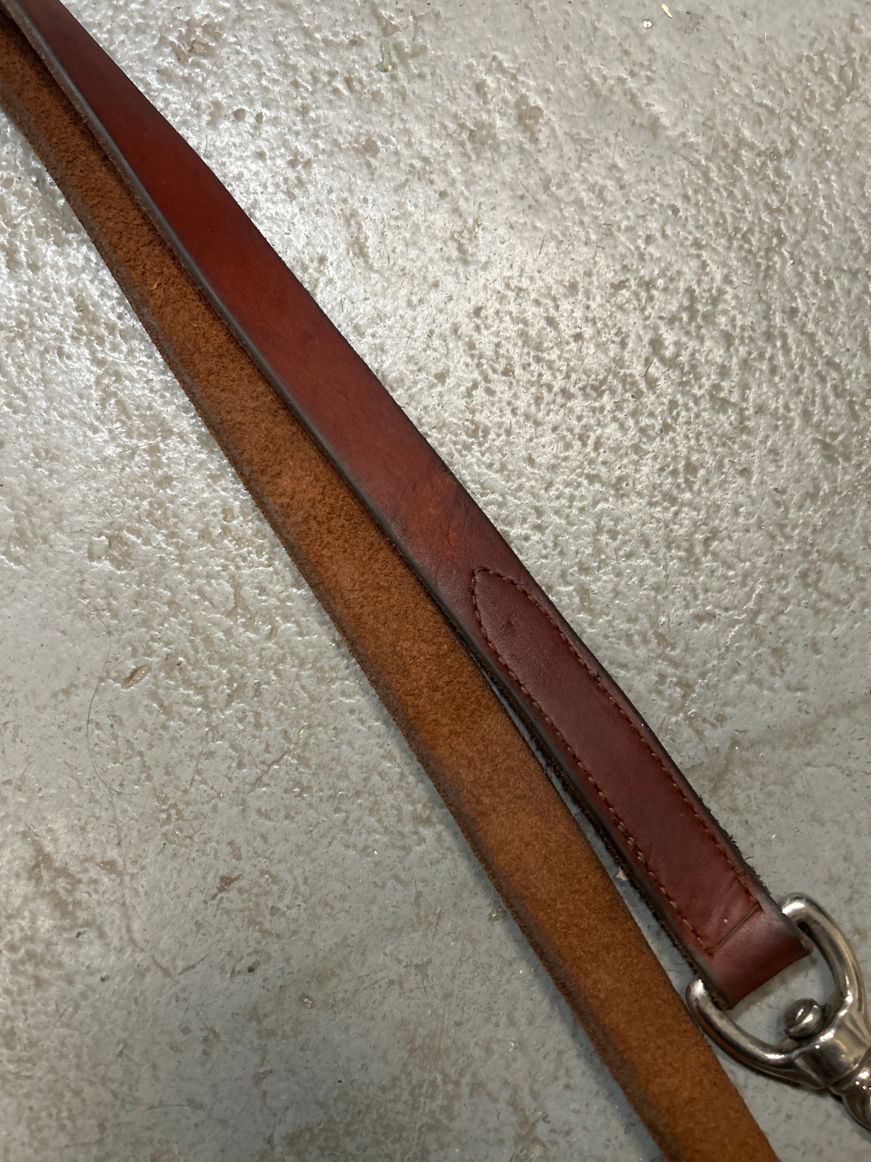 Show Halter with Lead-Show Halter-Consignment-Evolution Equestrian Co.