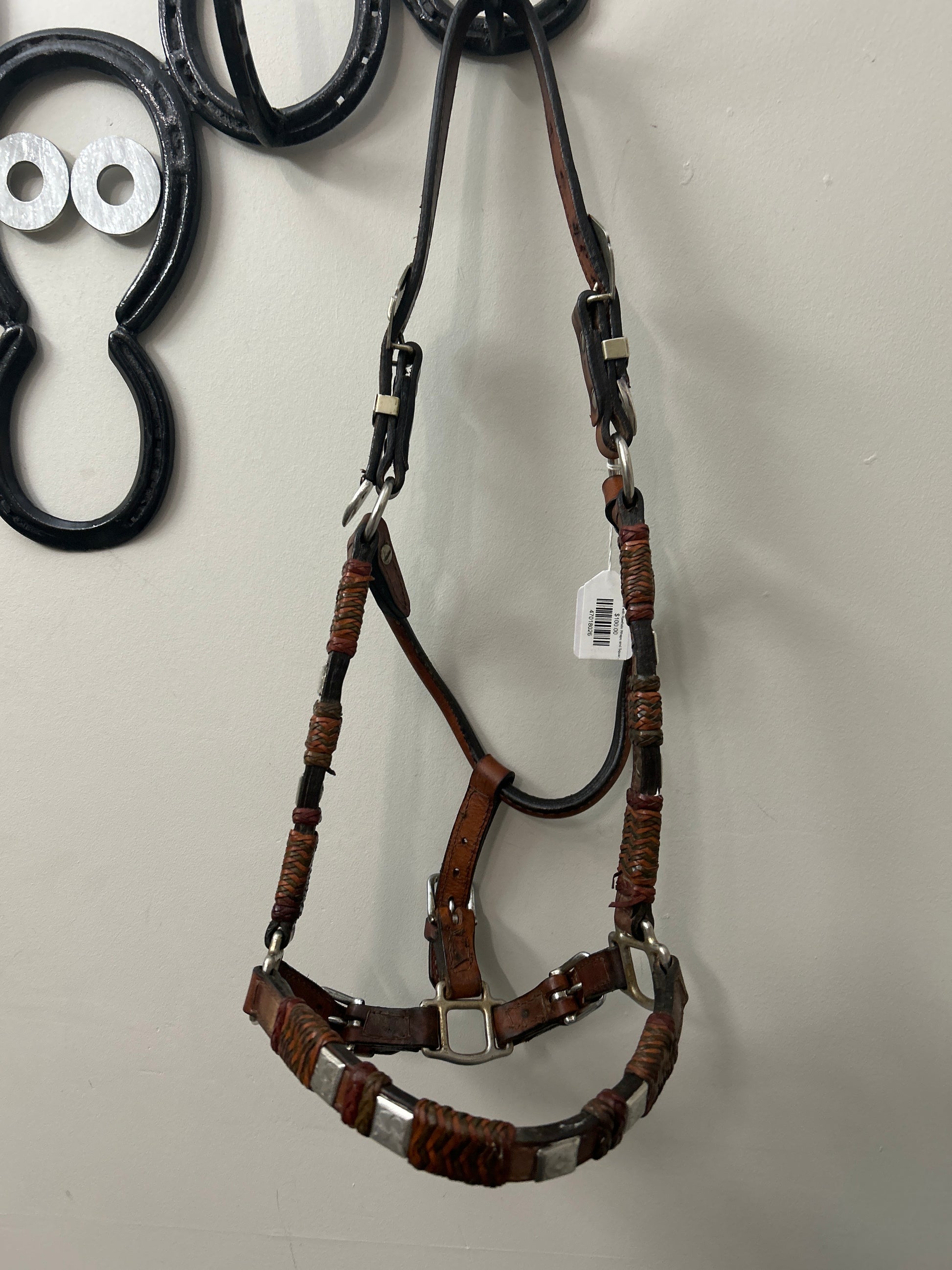 Show Halter with Rawhide Wraps and Square Conchos-Reins-Consignment-Evolution Equestrian Co.