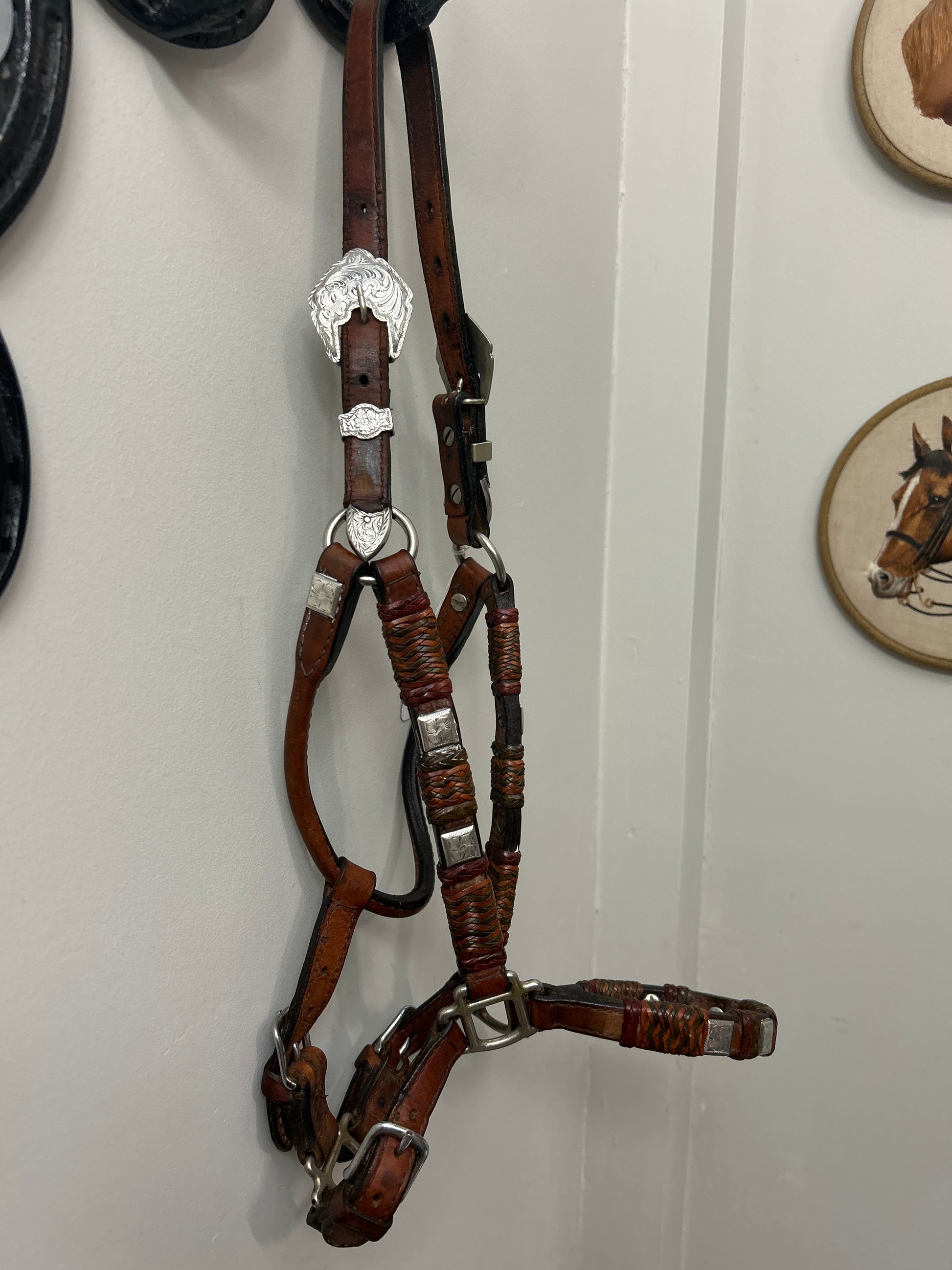 Show Halter with Rawhide Wraps and Square Conchos-Reins-Consignment-Evolution Equestrian Co.