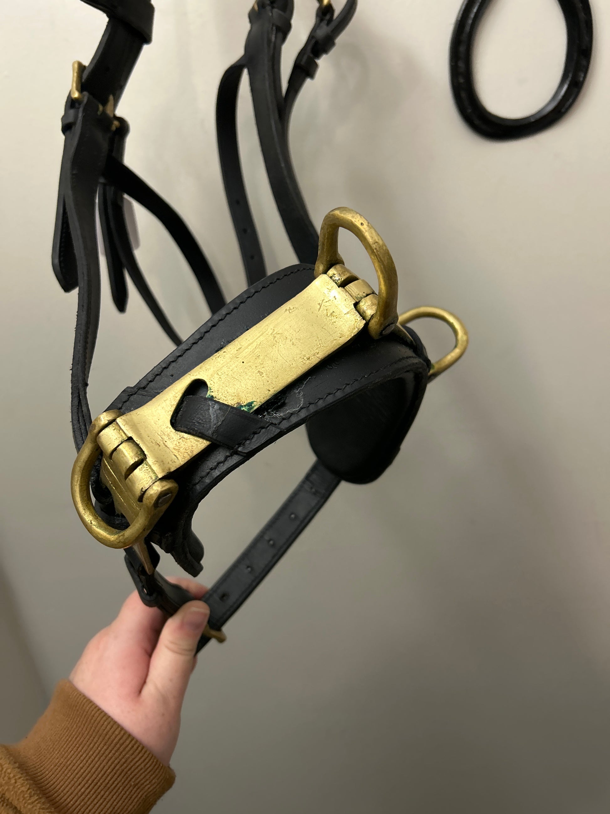 Skyline Lunging Cavesson-Horse Training-Consignment-Evolution Equestrian Co.
