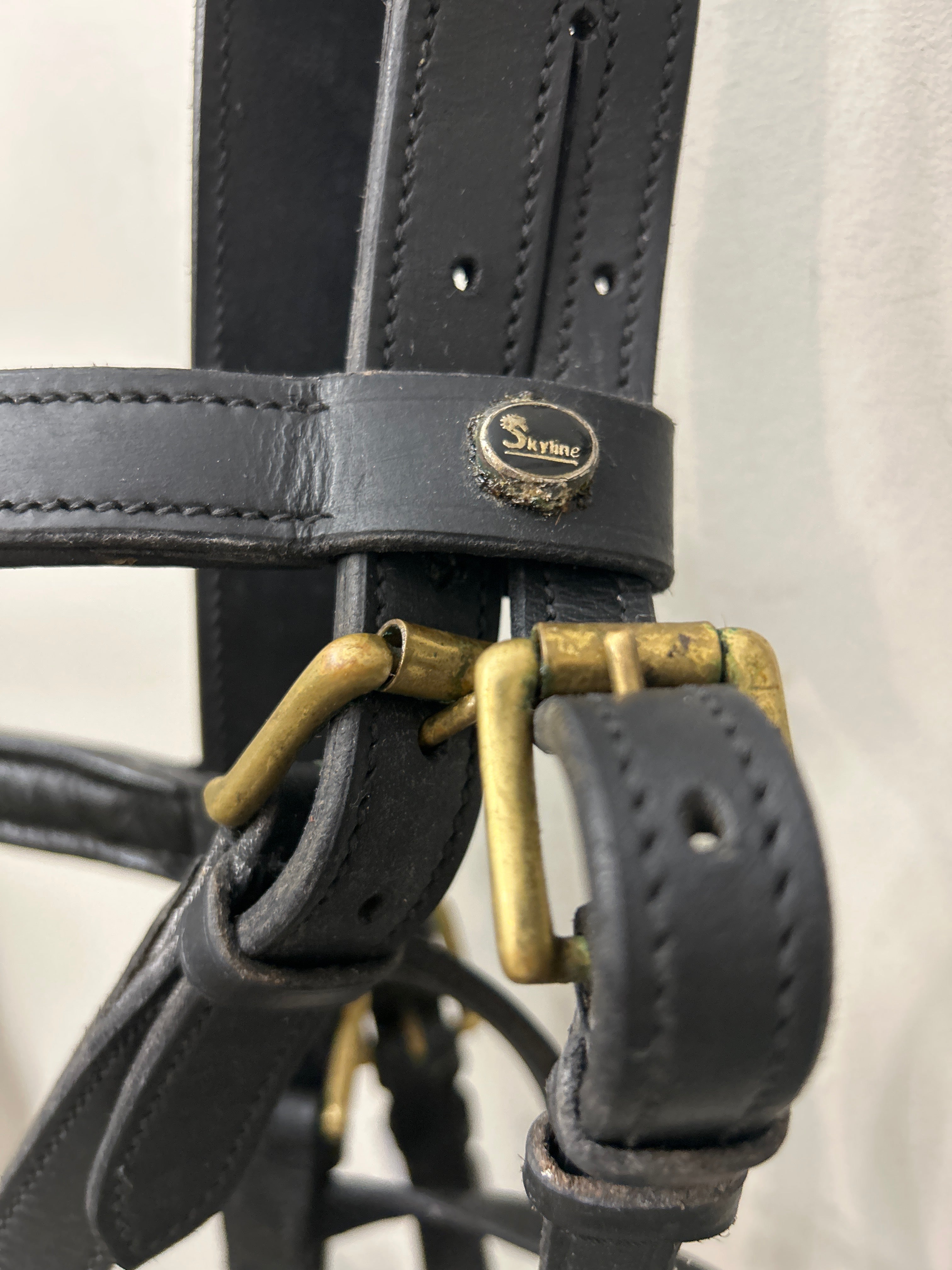 Skyline Lunging Cavesson-Horse Training-Consignment-Evolution Equestrian Co.