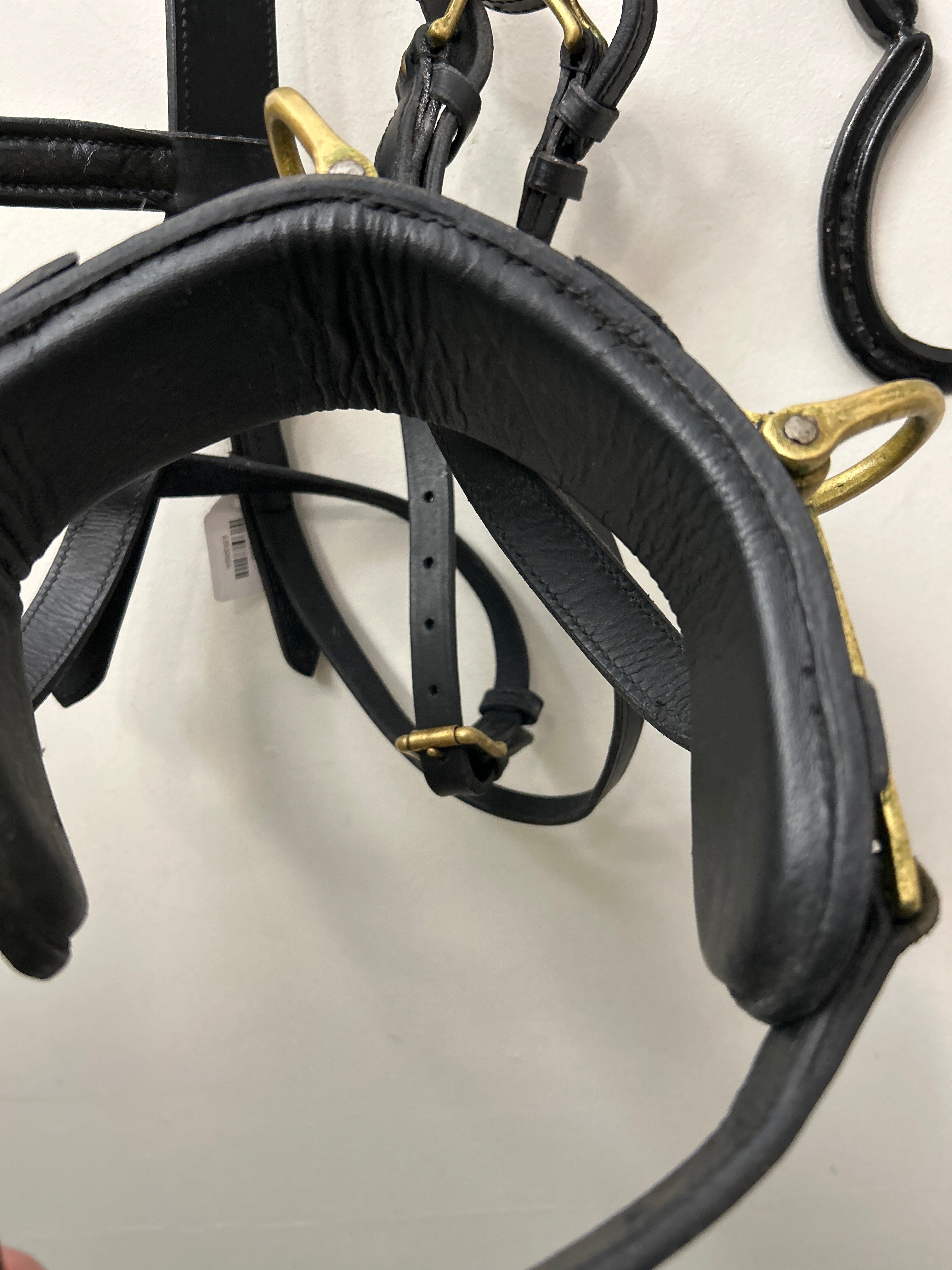 Skyline Lunging Cavesson-Horse Training-Consignment-Evolution Equestrian Co.