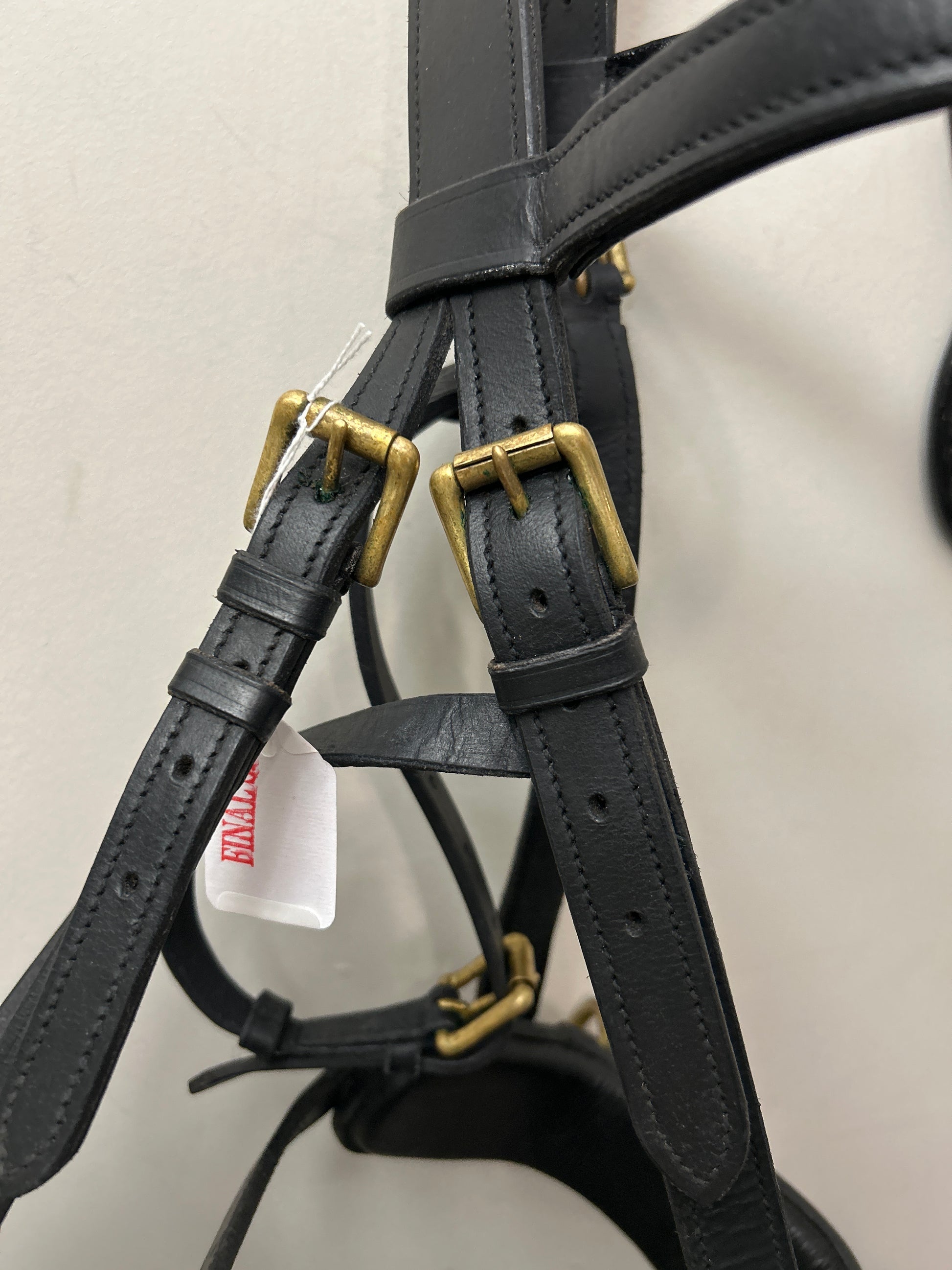 Skyline Lunging Cavesson-Horse Training-Consignment-Evolution Equestrian Co.