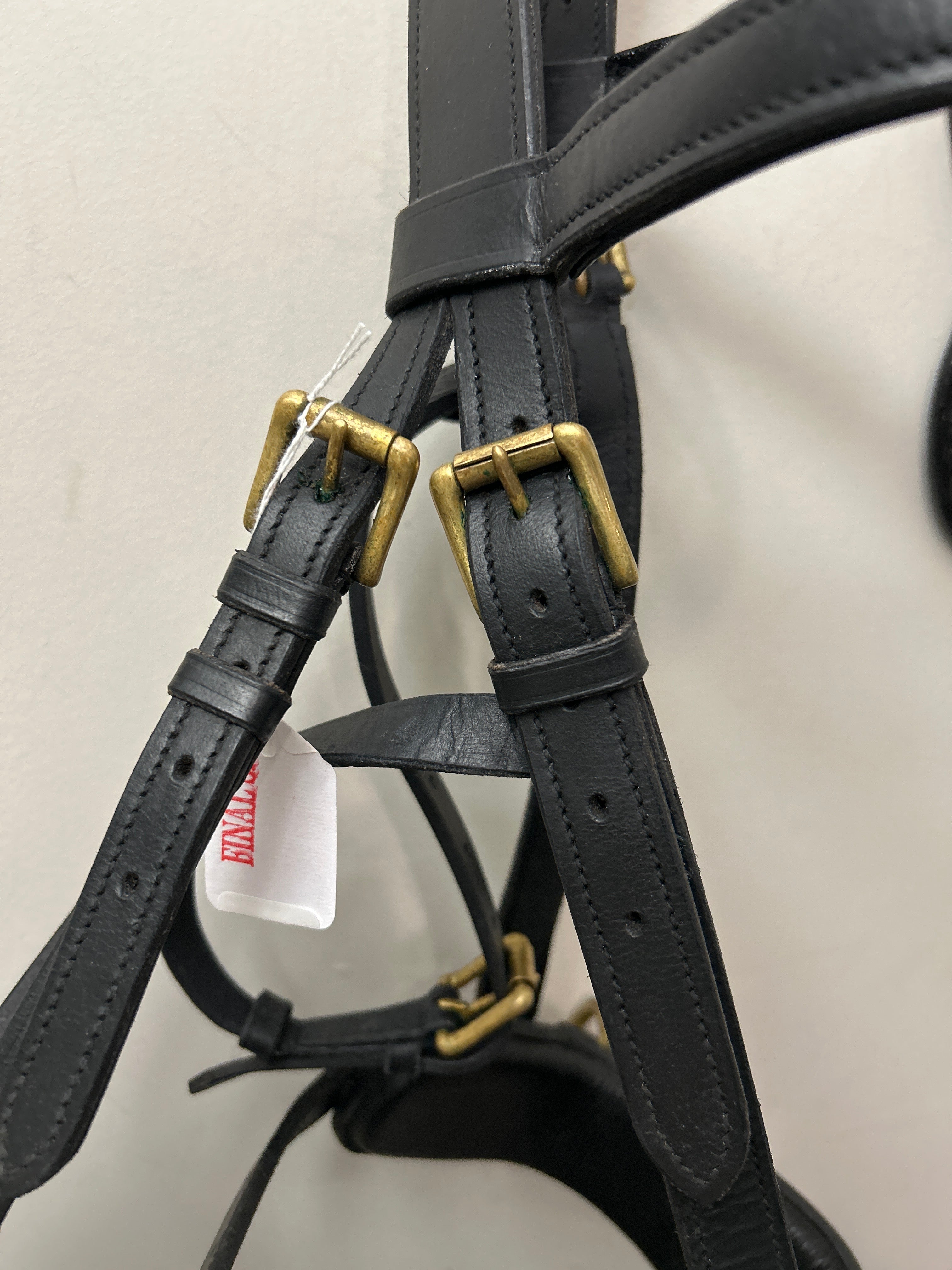 Skyline Lunging Cavesson-Horse Training-Consignment-Evolution Equestrian Co.