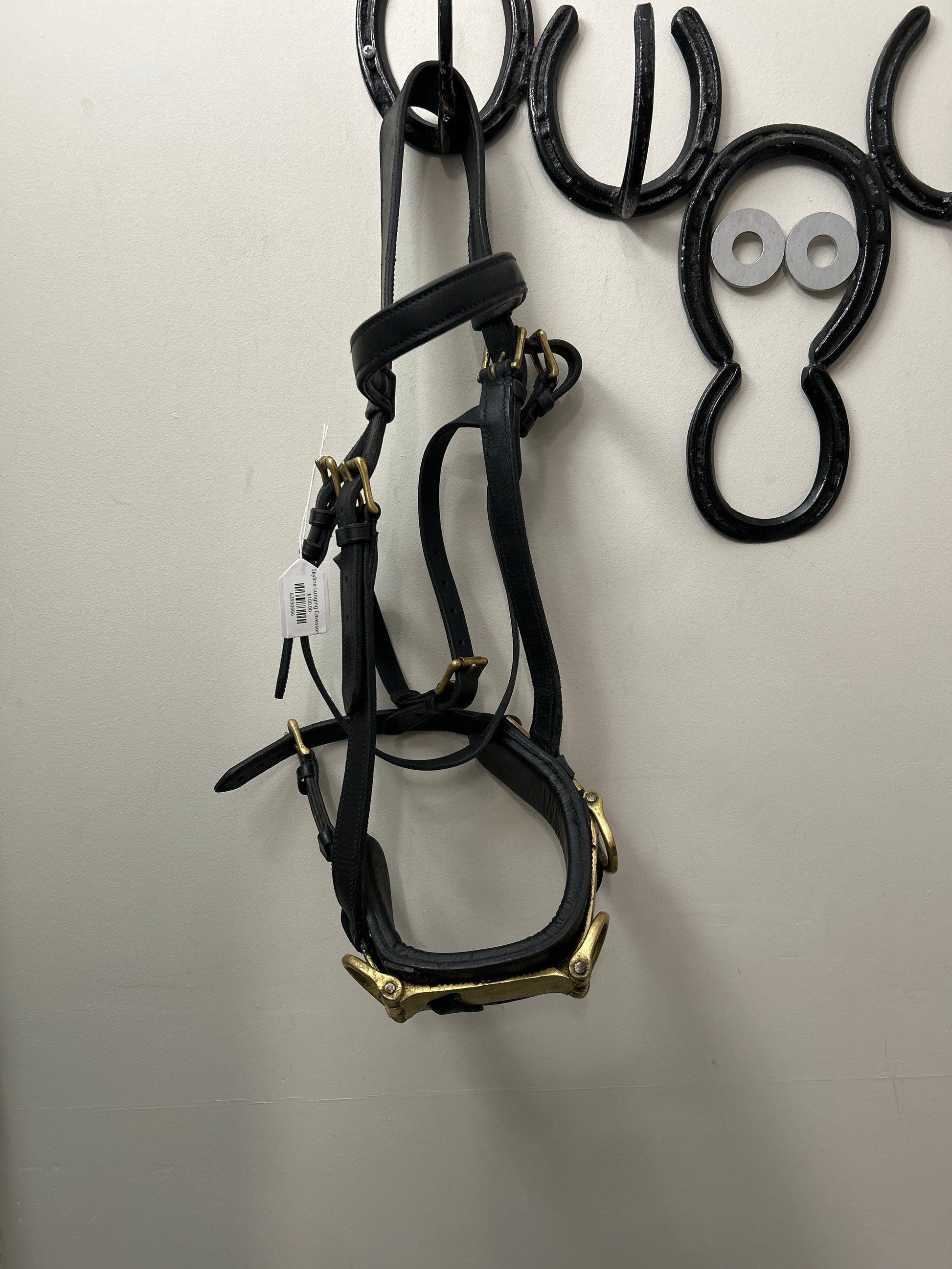 Skyline Lunging Cavesson-Horse Training-Consignment-Evolution Equestrian Co.