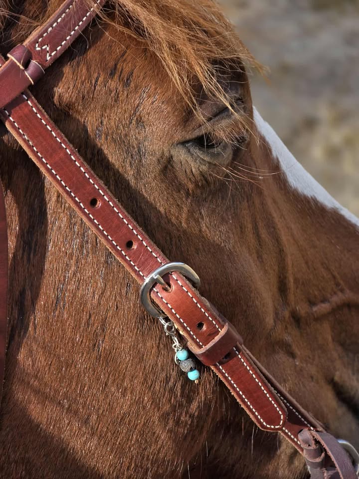 Soul Sisters Equestrian Bridle Charms-Charms-Soul Sister Equestrian Co-Evolution Equestrian Co.