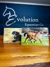 Load image into Gallery viewer, Soul Touch Photography Card Packs-Greeting Cards-Soul Touch Photography-Evolution Equestrian Co.
