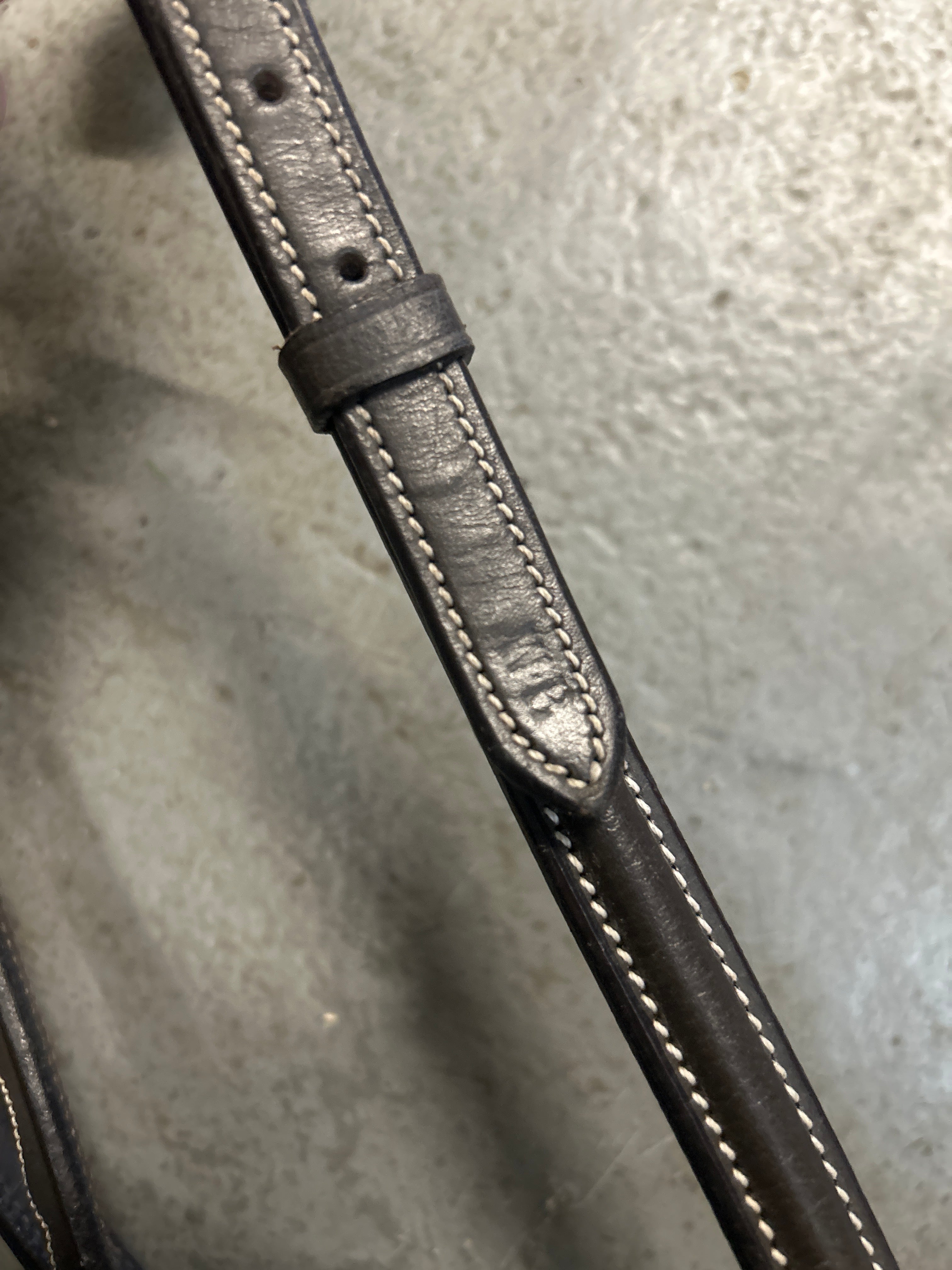 Standing Martingale Warmblood-English Accessories-Consignment-Evolution Equestrian Co.