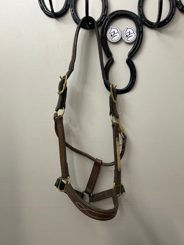 Standing Martingale Warmblood-English Accessories-Consignment-Evolution Equestrian Co.