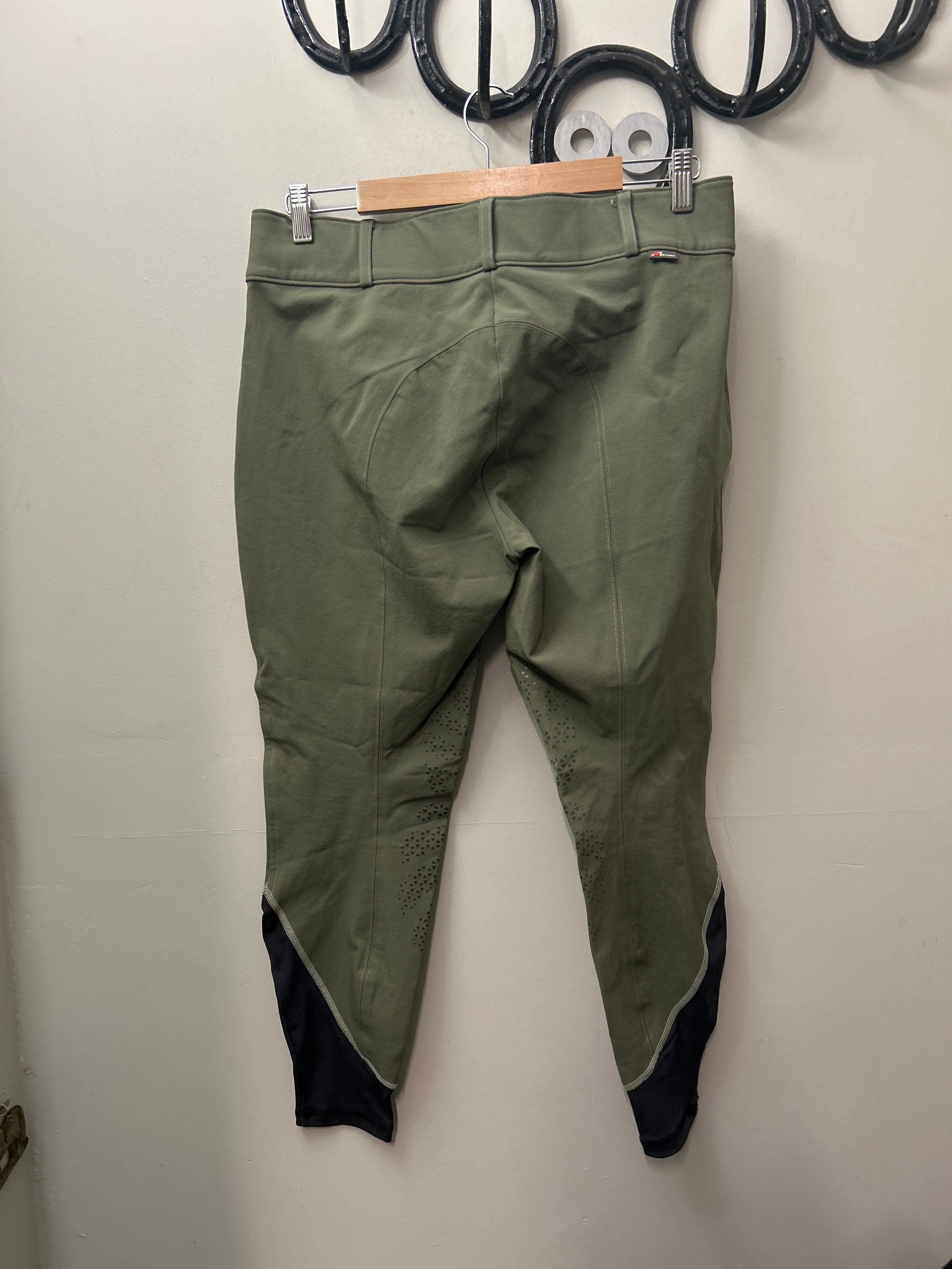 Struck Ladies Breeches 34-Breeches-Consignment-Evolution Equestrian Co.