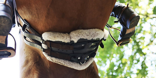 Stubben Equi-Soft Girth Pad Lambskin-English Girth-Stubben North America-Standard (40-45) White-Evolution Equestrian Co.