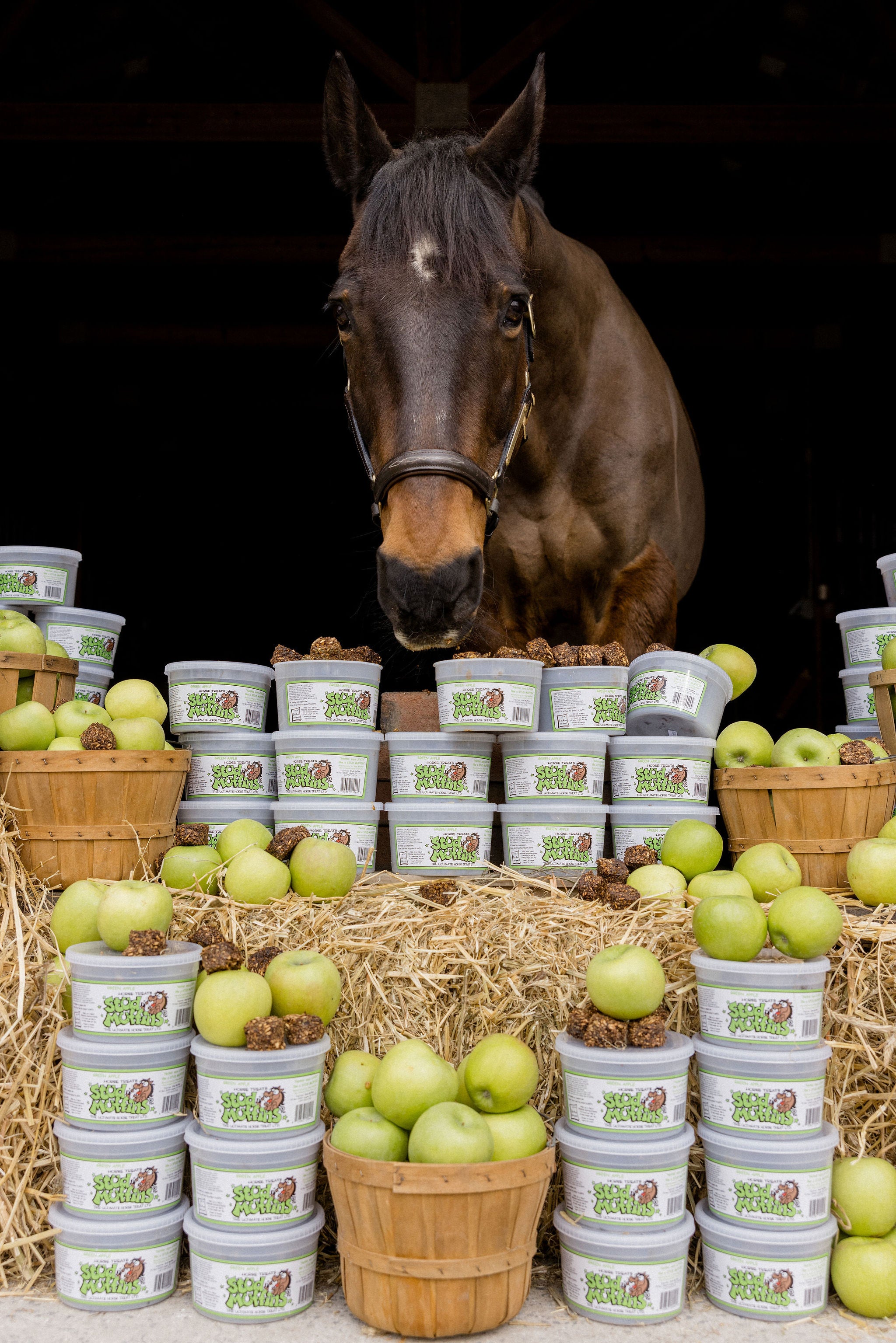 Stud Muffins Horse Treats Green Apple 20oz Bucket-Horse Treats-Stud Muffins-Evolution Equestrian Co.