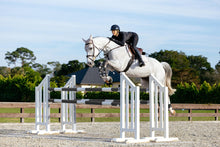 Load image into Gallery viewer, LeMieux Essence Eurojump Saddle Pad Stone
