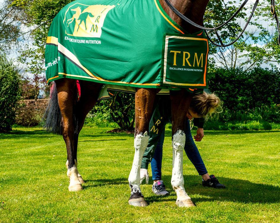 TRM StaySound Leg Clay-Horse Care-Canadian Centurion Supply-Evolution Equestrian Co.