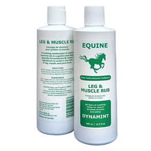 Load image into Gallery viewer, Dynamint Equine Leg and Muscle Rub
