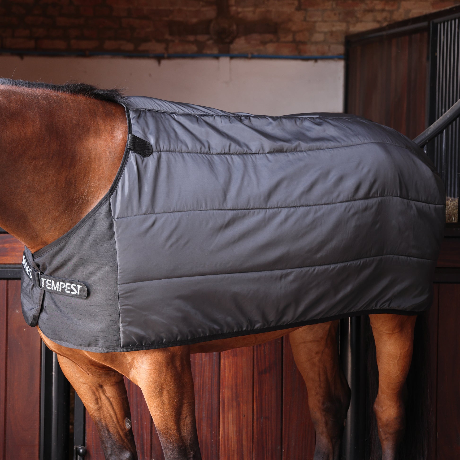 Tempest Original WarmaRug 100 Turnout Blanket Liner-Horse Blanket-Pegasus-69"-Evolution Equestrian Co.
