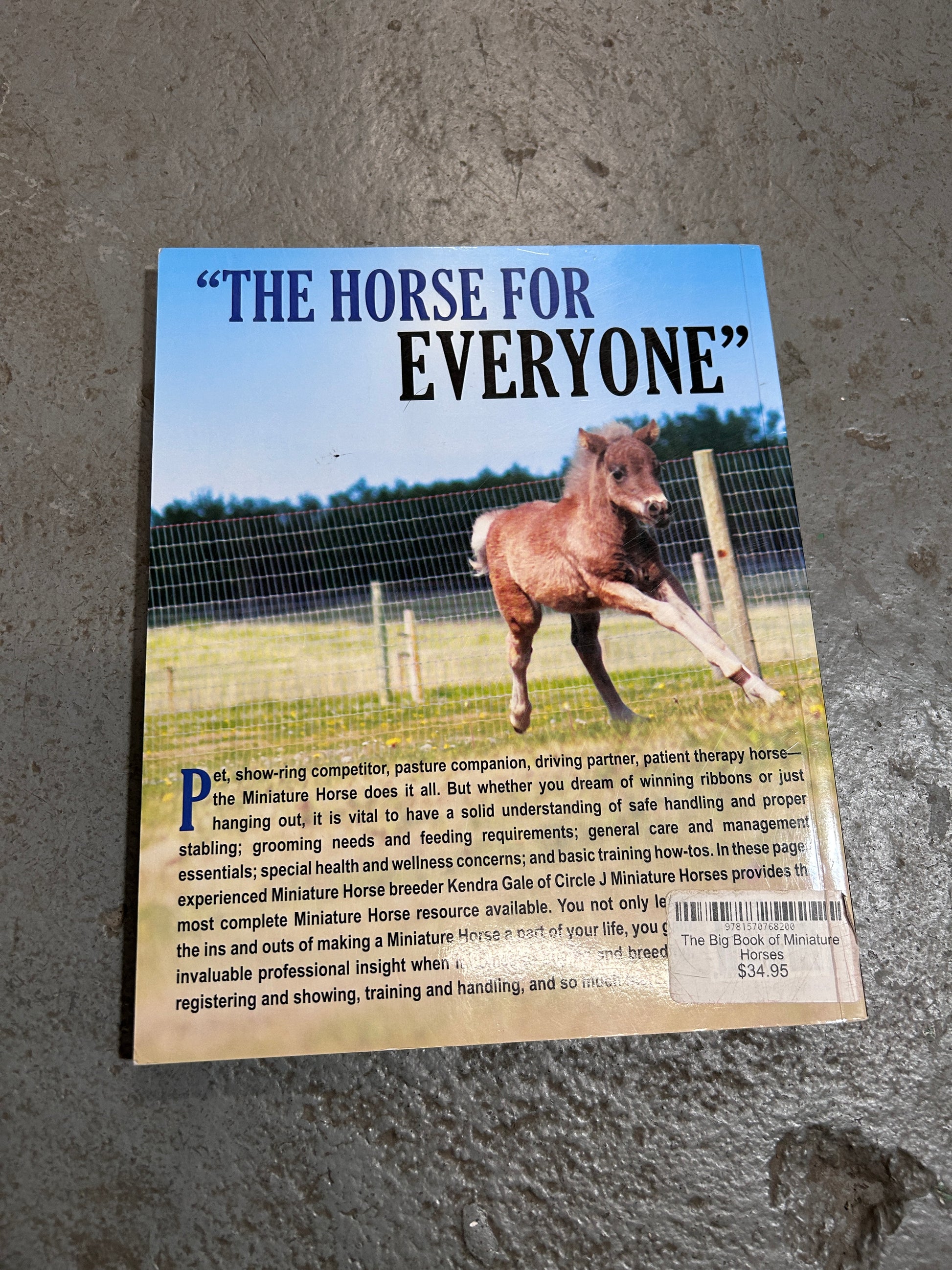 The Big Book of Miniature Horses by Kendra Gale-Book-Consignment-Evolution Equestrian Co.