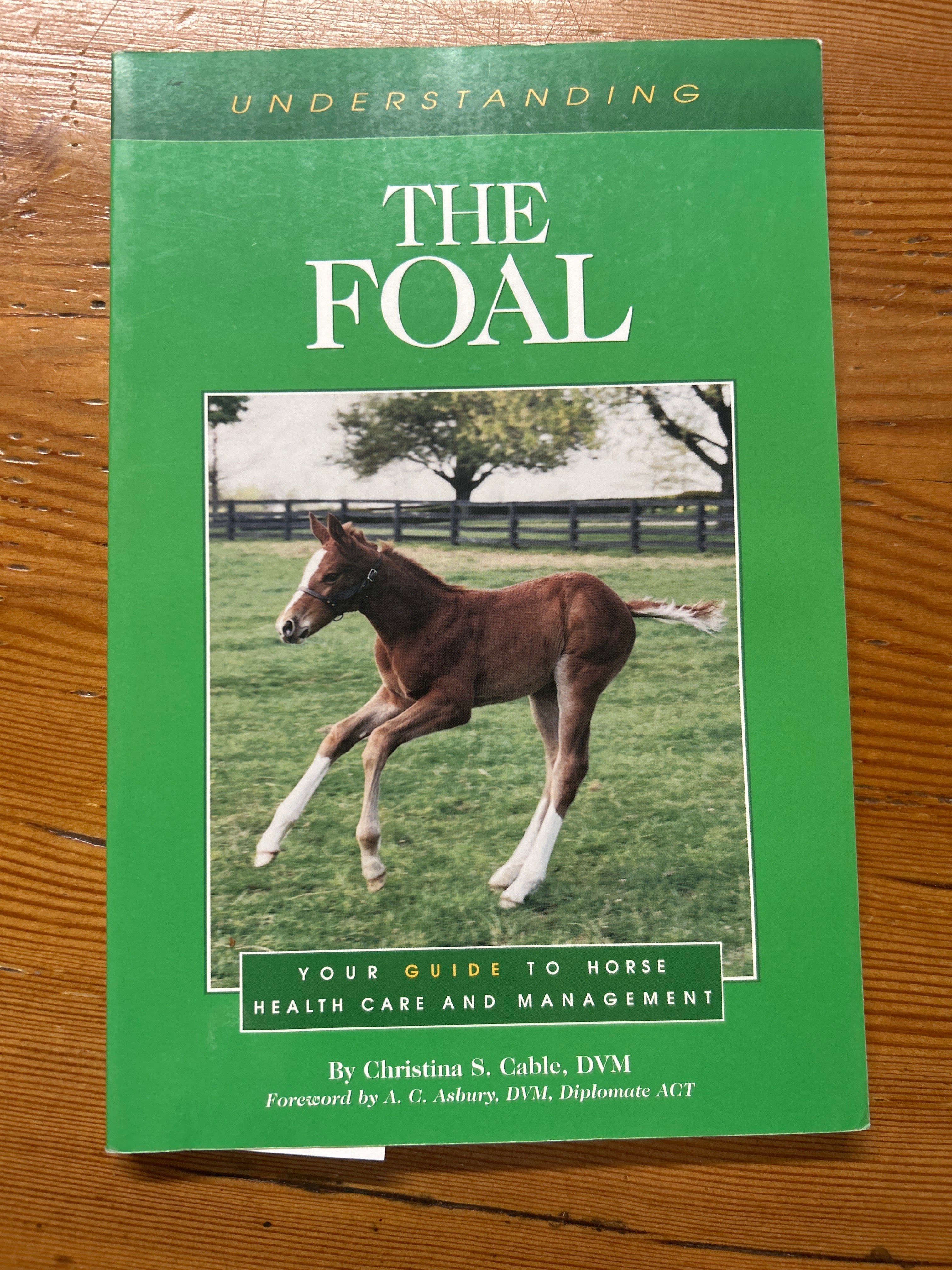 The Foal by Christina Cable DVM-Book-Consignment-Evolution Equestrian Co.