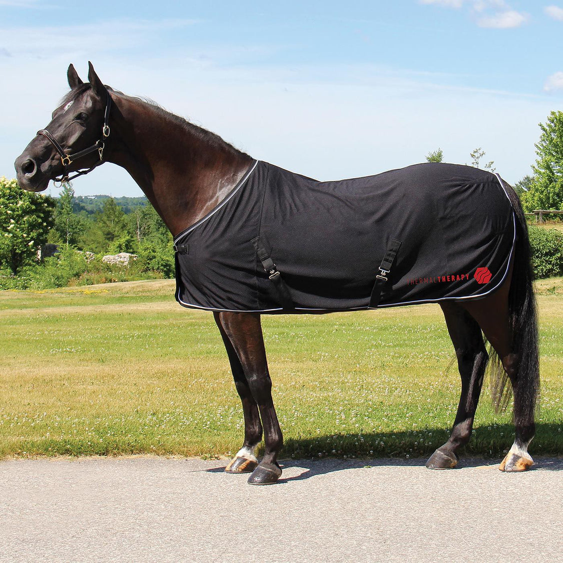 Thermal Therapy Mesh Sheet 78"-Horse Blanket-Consignment-Evolution Equestrian Co.