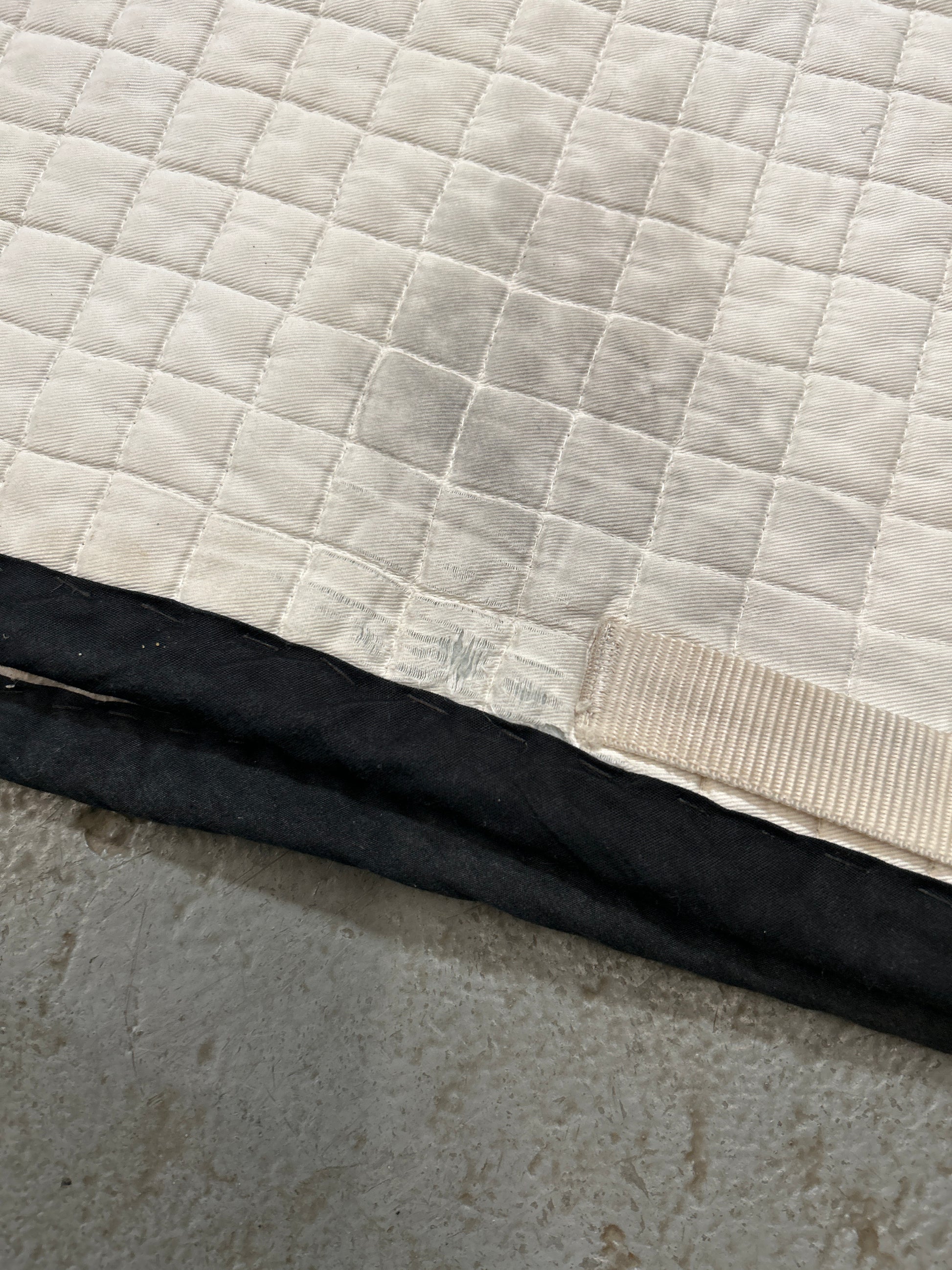 ThinLine Back on Track Dressage Saddle Pad-Dressage Saddle Pad-Consignment-Evolution Equestrian Co.