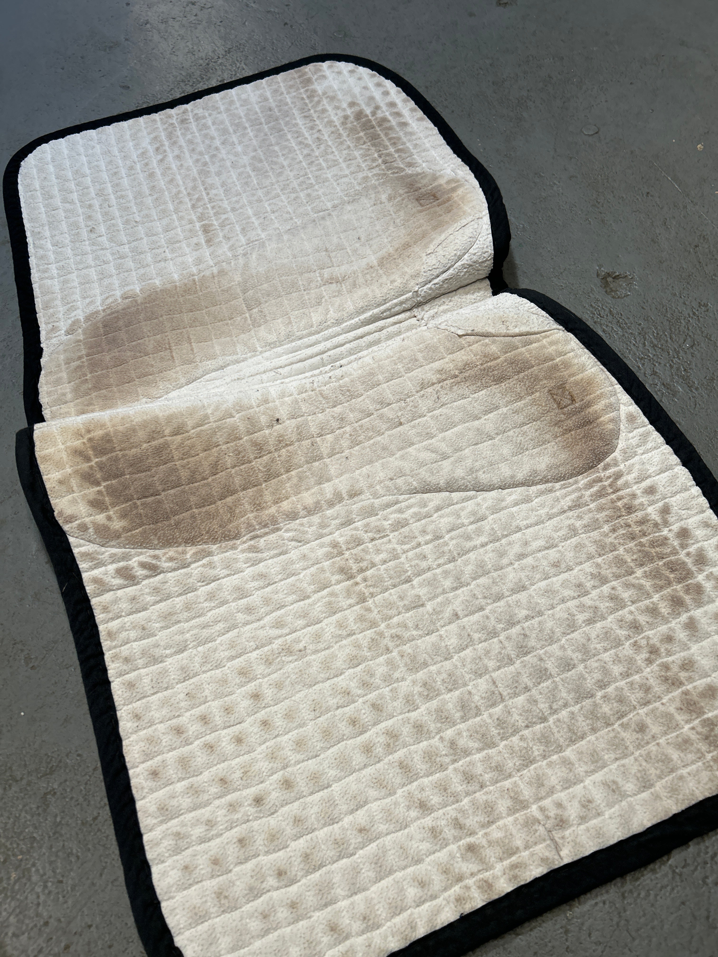 ThinLine Back on Track Dressage Saddle Pad-Dressage Saddle Pad-Consignment-Evolution Equestrian Co.