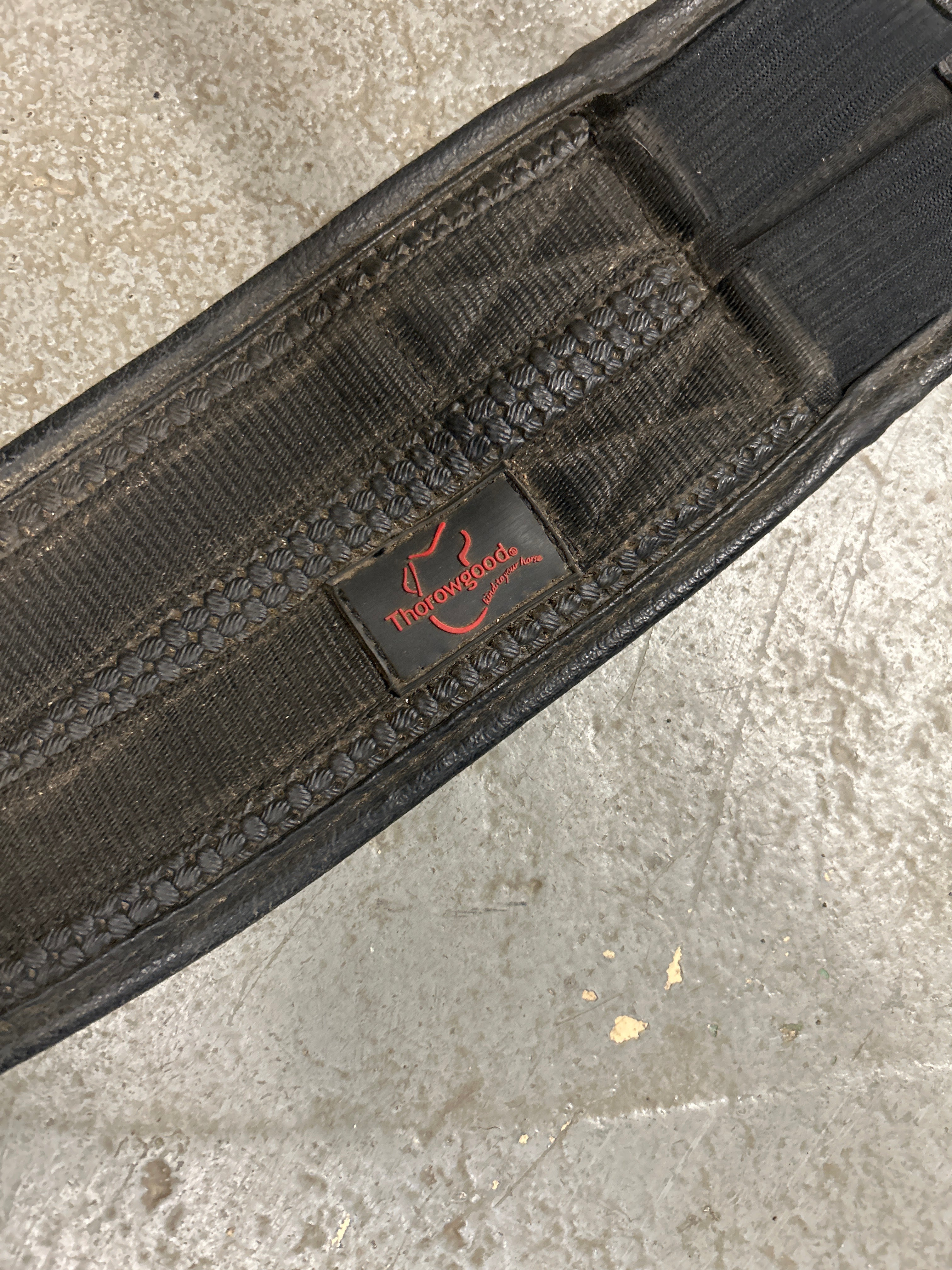 Thorowgood English Girth 48"-English Girth-Consignment-Evolution Equestrian Co.