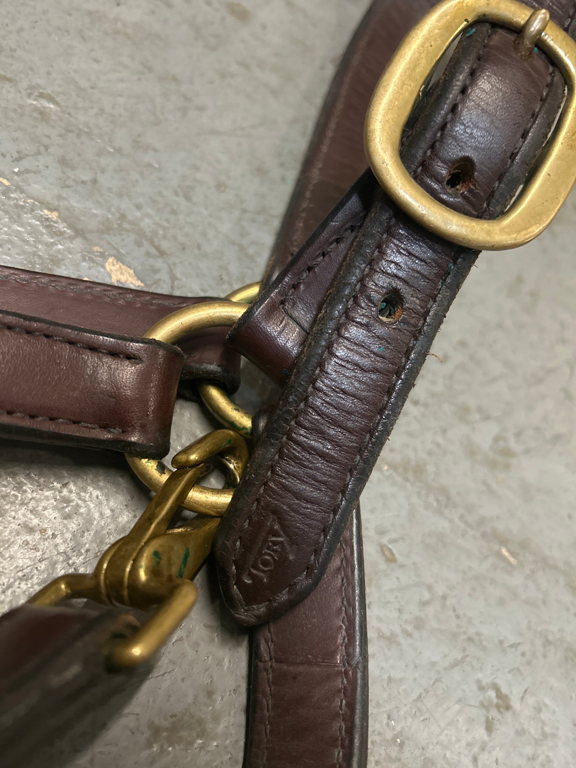 Tory Leather Halter-Halter-Consignment-Evolution Equestrian Co.