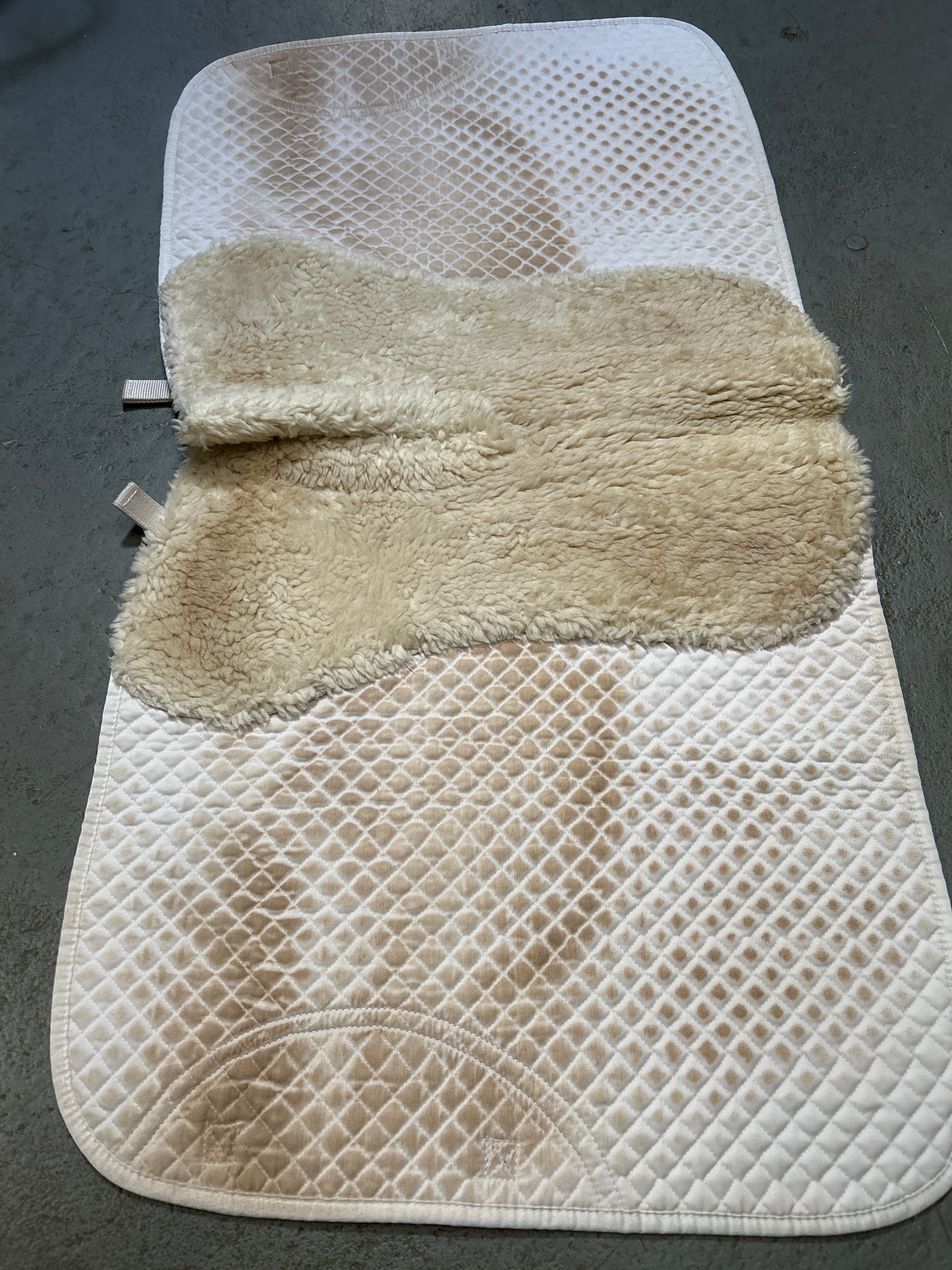 Total Saddle Fit Shimmable Dressage Saddle Pad-Dressage Saddle Pad-Consignment-Evolution Equestrian Co.