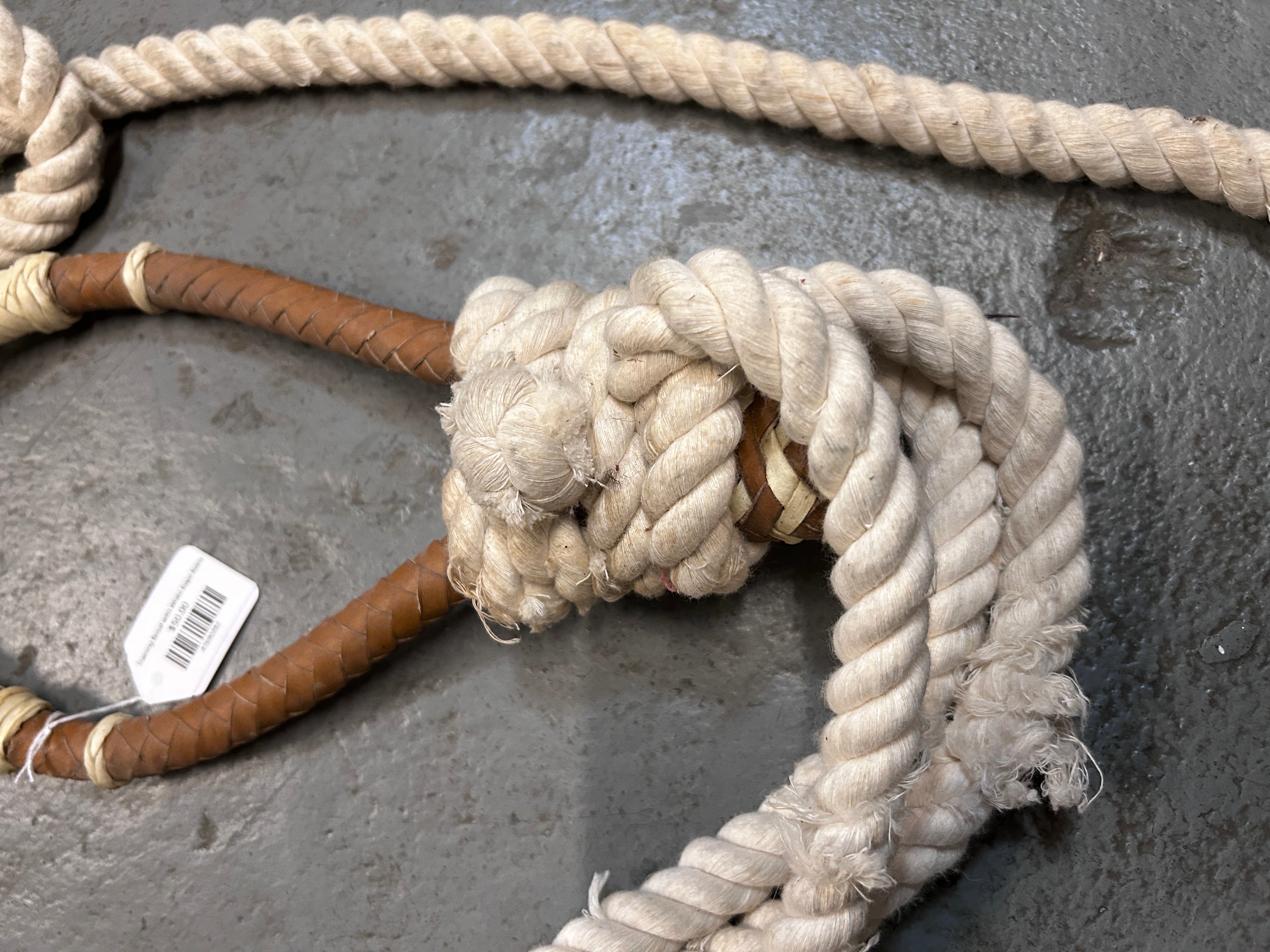 Training Bosal with White Rope Reins-Bitless Bridle-Consignment-Evolution Equestrian Co.