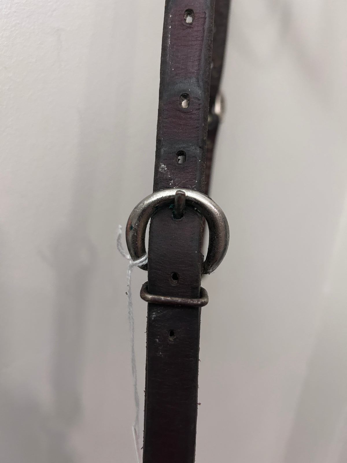 Training Quick-Change Headstall-Western Headstall-Consignment-Evolution Equestrian Co.