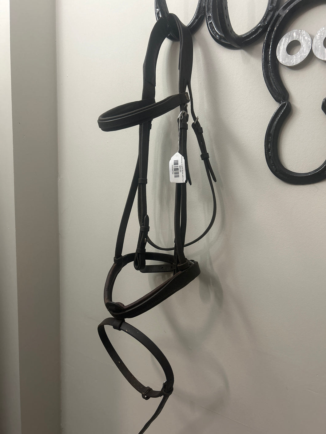 Treadstone English Bridle with Flash-Bridle-Consignment-Evolution Equestrian Co.