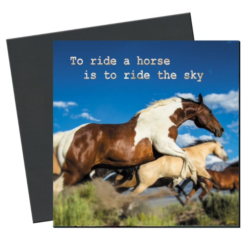 Tree Free Magnets-Toys-Can Pro Equestrian Supply-Ride the Sky-Evolution Equestrian Co.