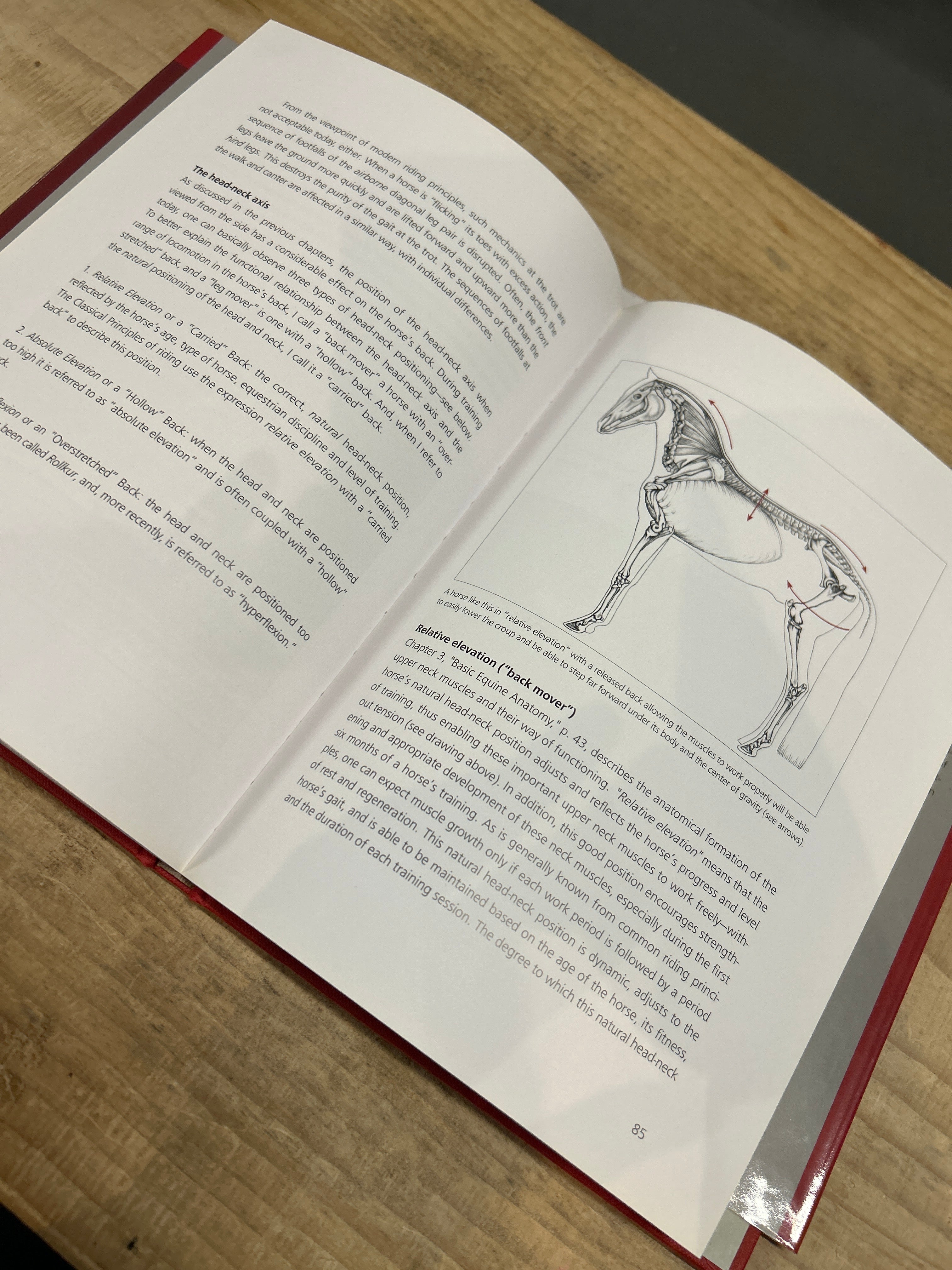 Tug of War by Gerd Heuschmann-Books-Consignment-Evolution Equestrian Co.