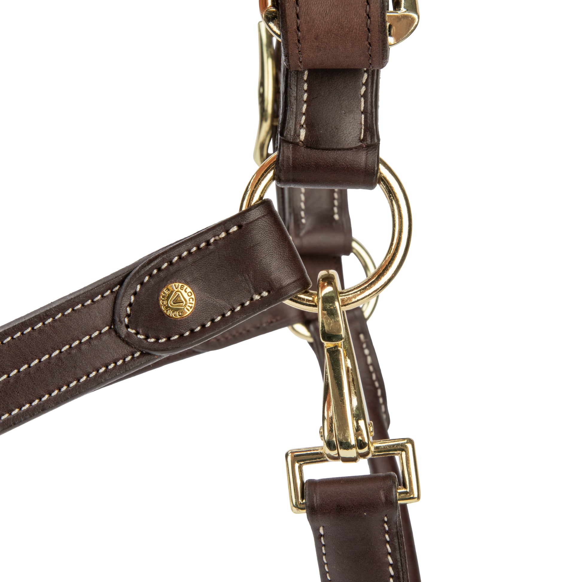 Velociti Lusso Girona Leather Halter-Horse Halters-Pegasus-Havana-Pony-Evolution Equestrian Co.