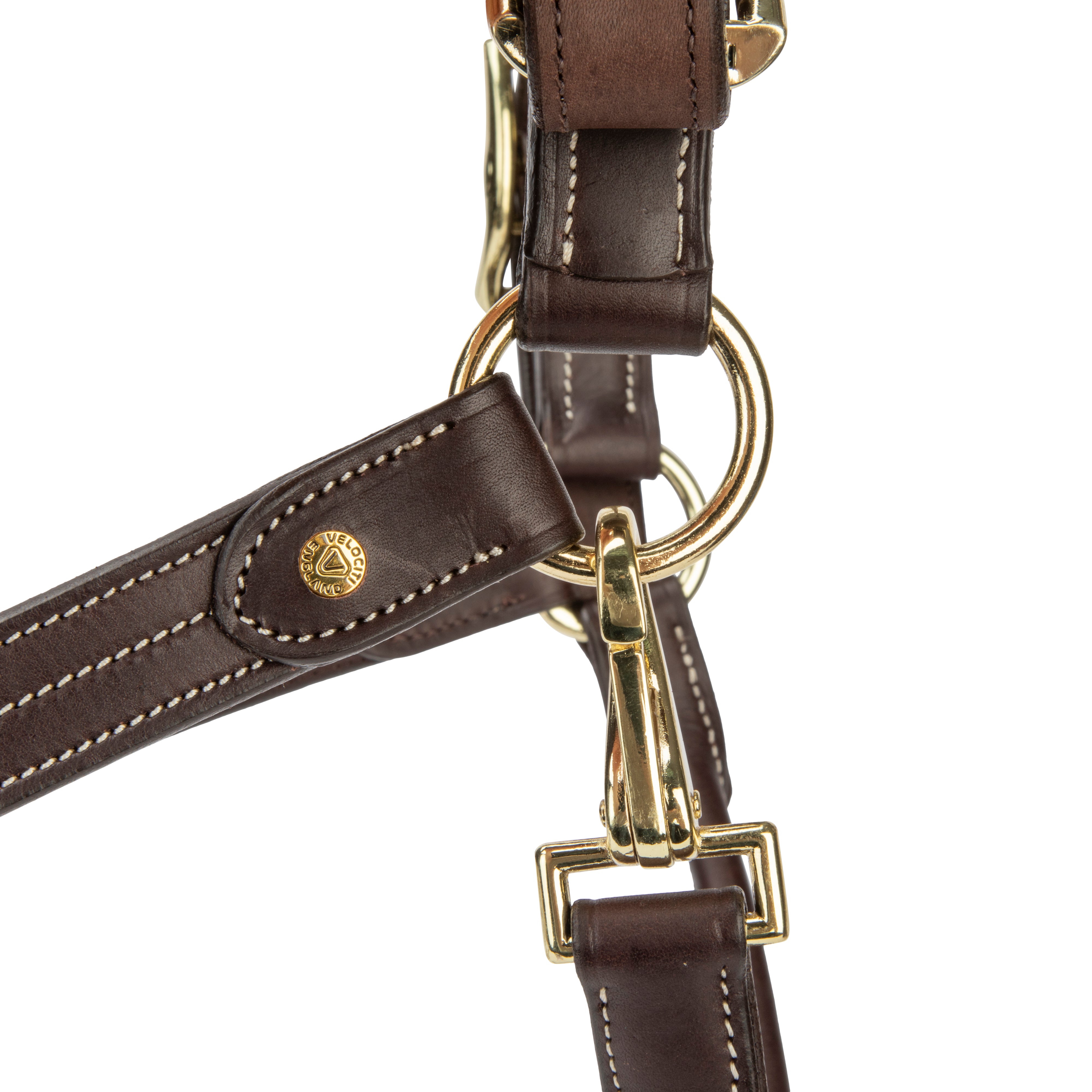 Velociti Lusso Girona Leather Halter-Horse Halters-Pegasus-Havana-Pony-Evolution Equestrian Co.