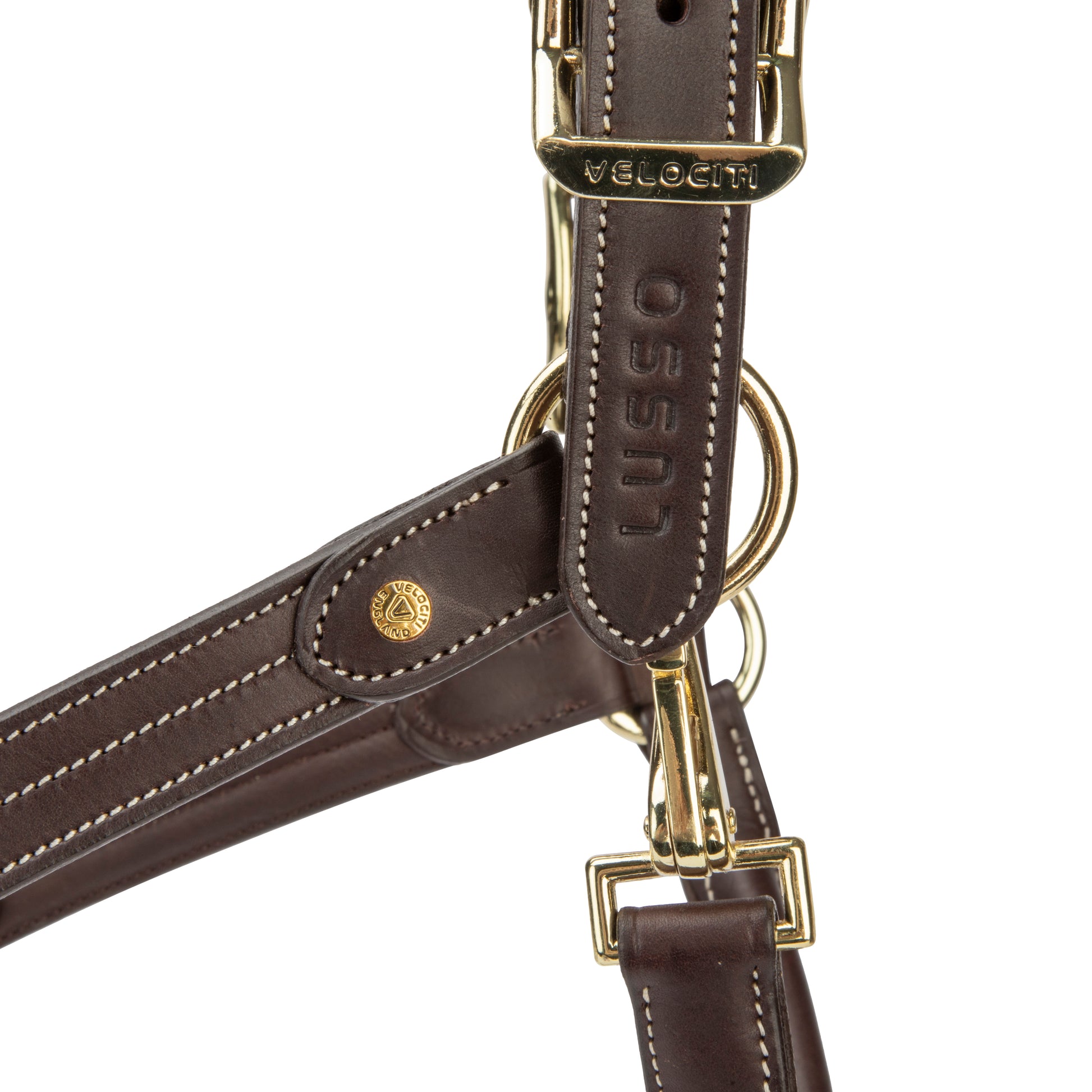 Velociti Lusso Girona Leather Halter-Horse Halters-Pegasus-Havana-Pony-Evolution Equestrian Co.