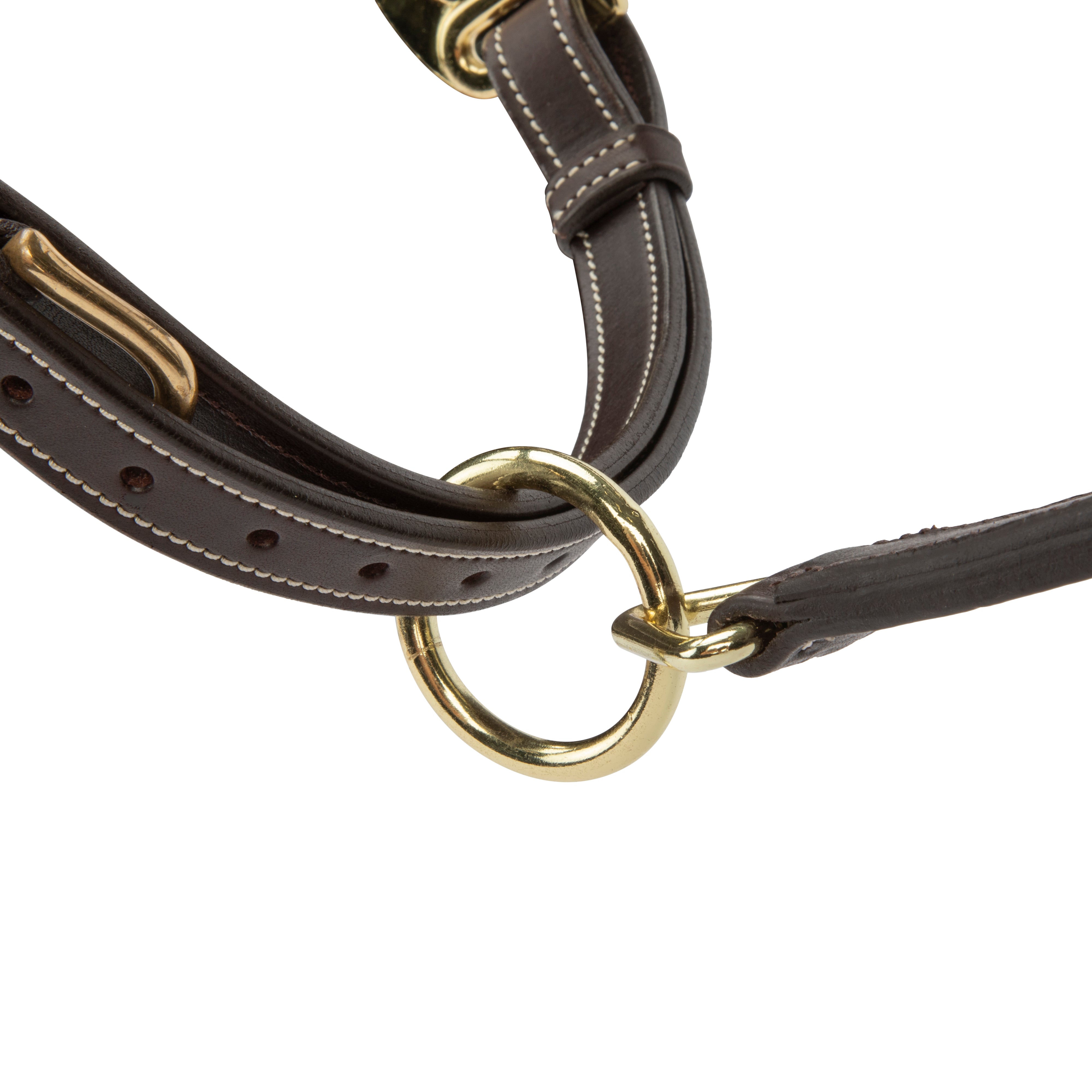 Velociti Lusso Girona Leather Halter-Horse Halters-Pegasus-Havana-Pony-Evolution Equestrian Co.