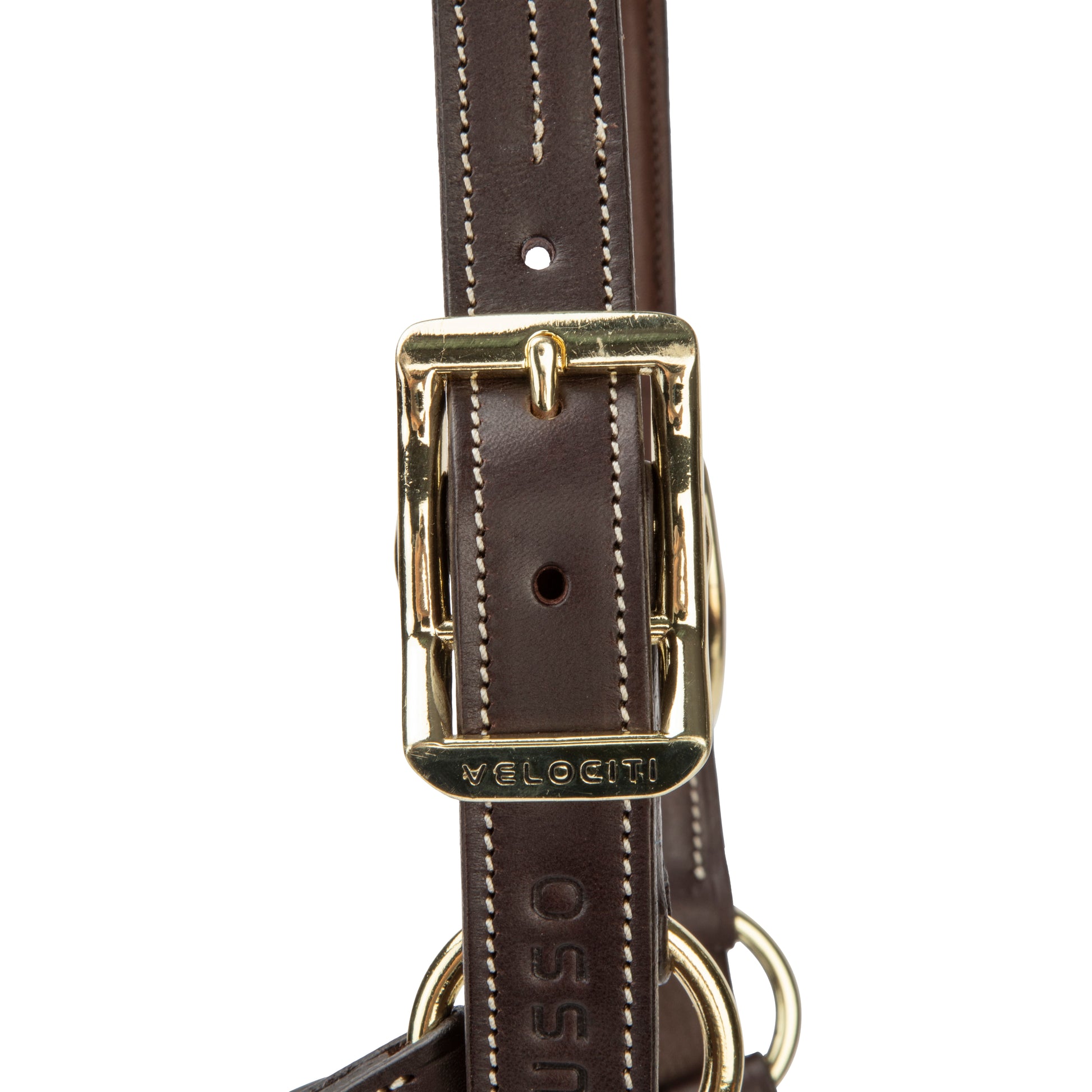 Velociti Lusso Girona Leather Halter-Horse Halters-Pegasus-Havana-Pony-Evolution Equestrian Co.