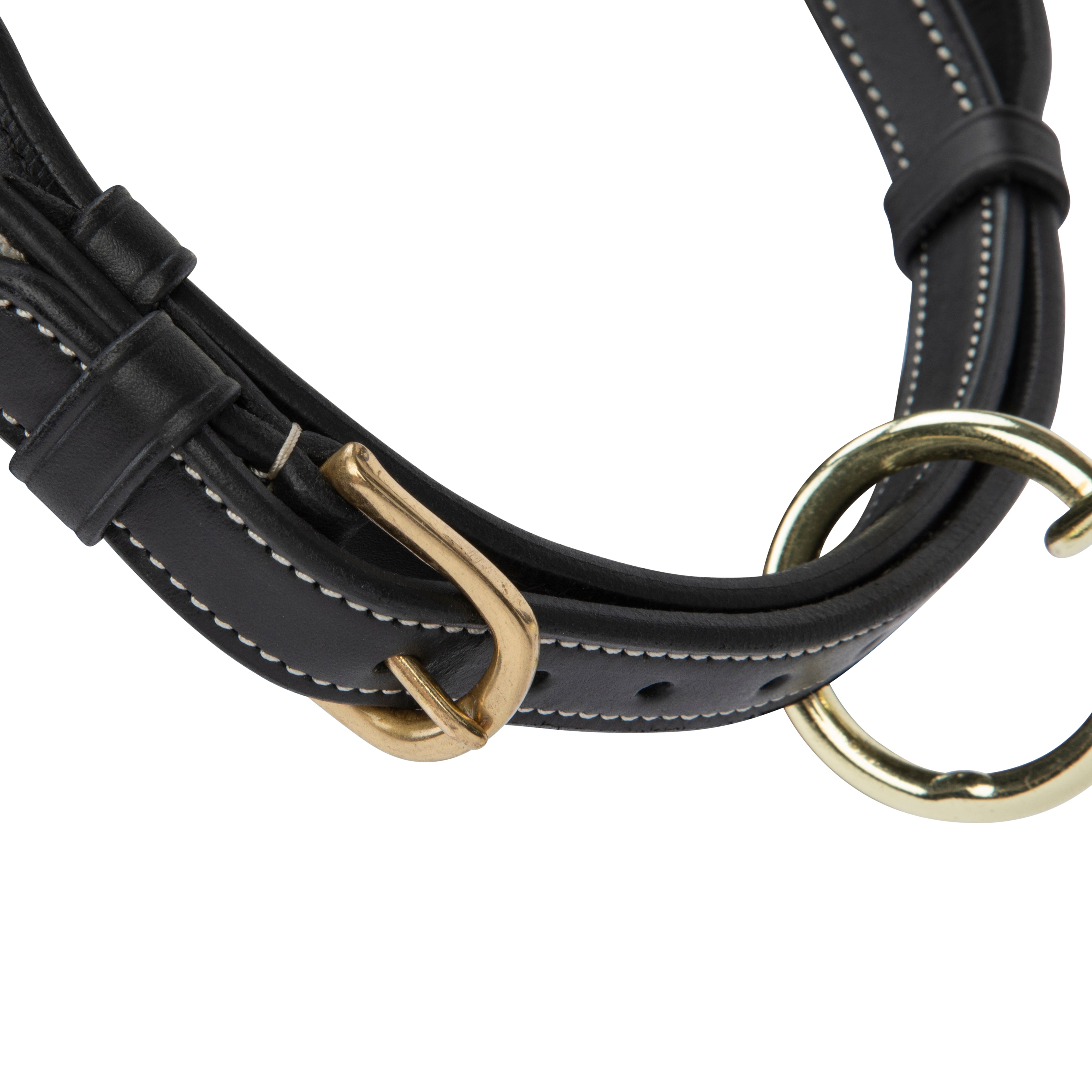 Velociti Lusso Girona Leather Halter-Horse Halters-Pegasus-Havana-Pony-Evolution Equestrian Co.
