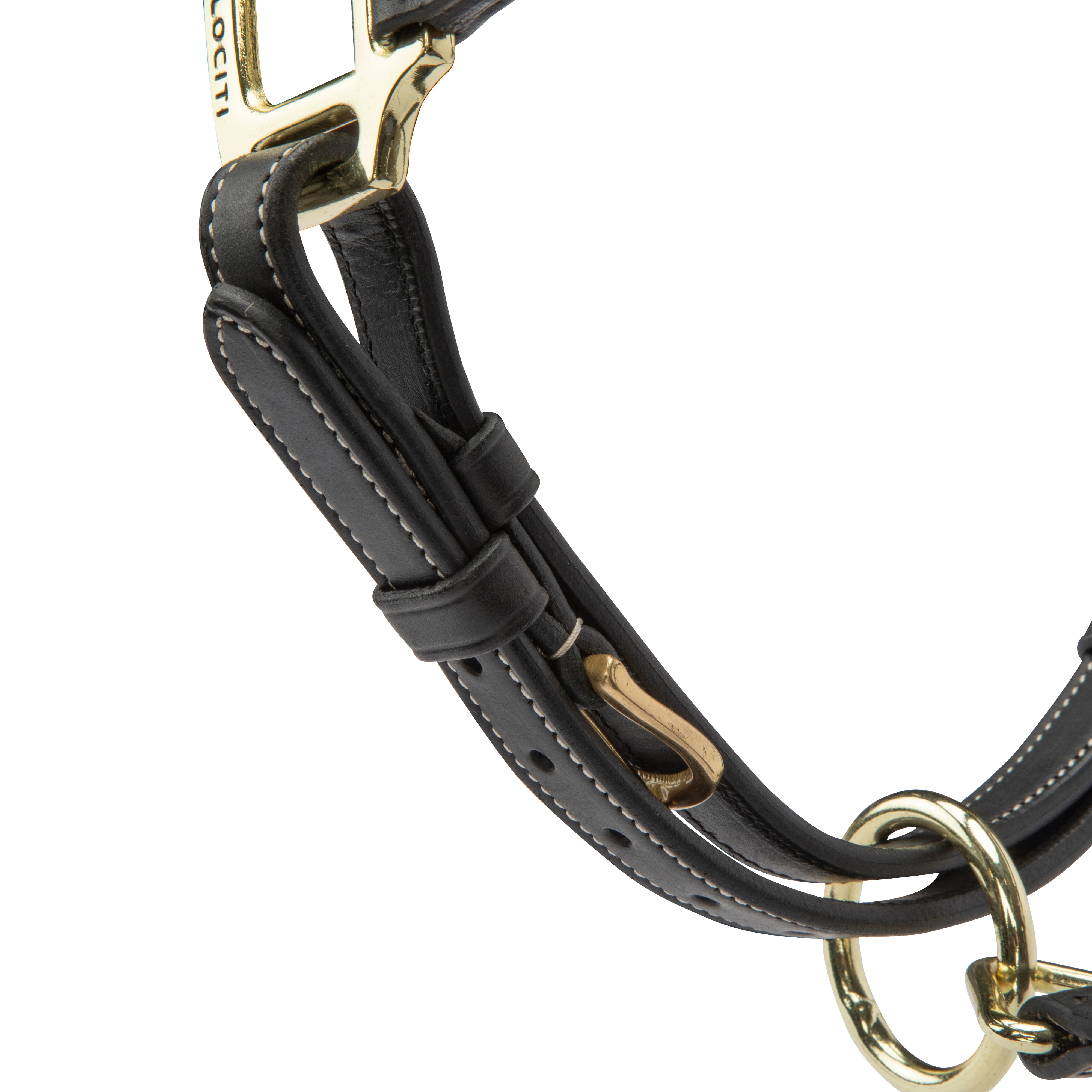 Velociti Lusso Girona Leather Halter-Horse Halters-Pegasus-Havana-Pony-Evolution Equestrian Co.