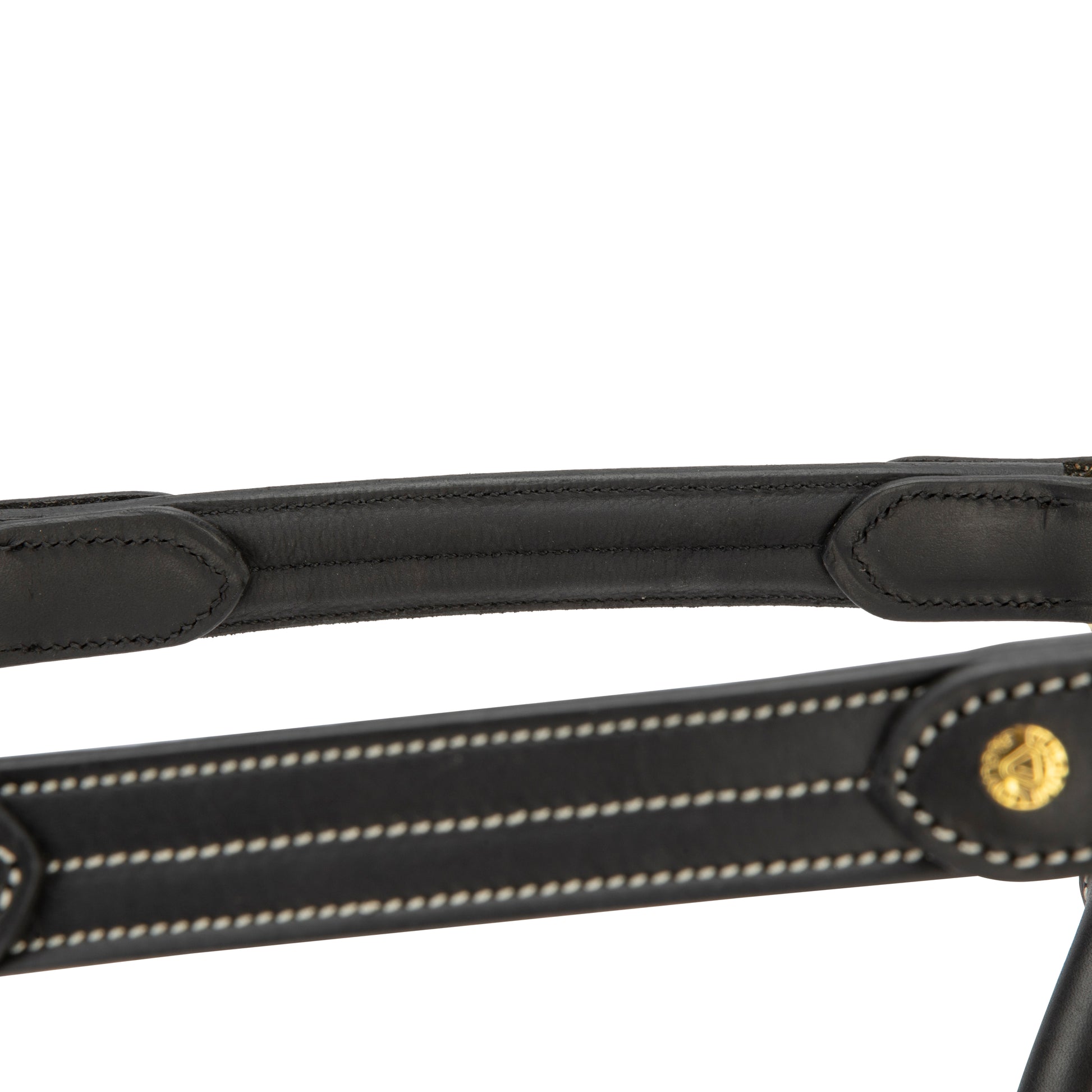 Velociti Lusso Girona Leather Halter-Horse Halters-Pegasus-Havana-Pony-Evolution Equestrian Co.