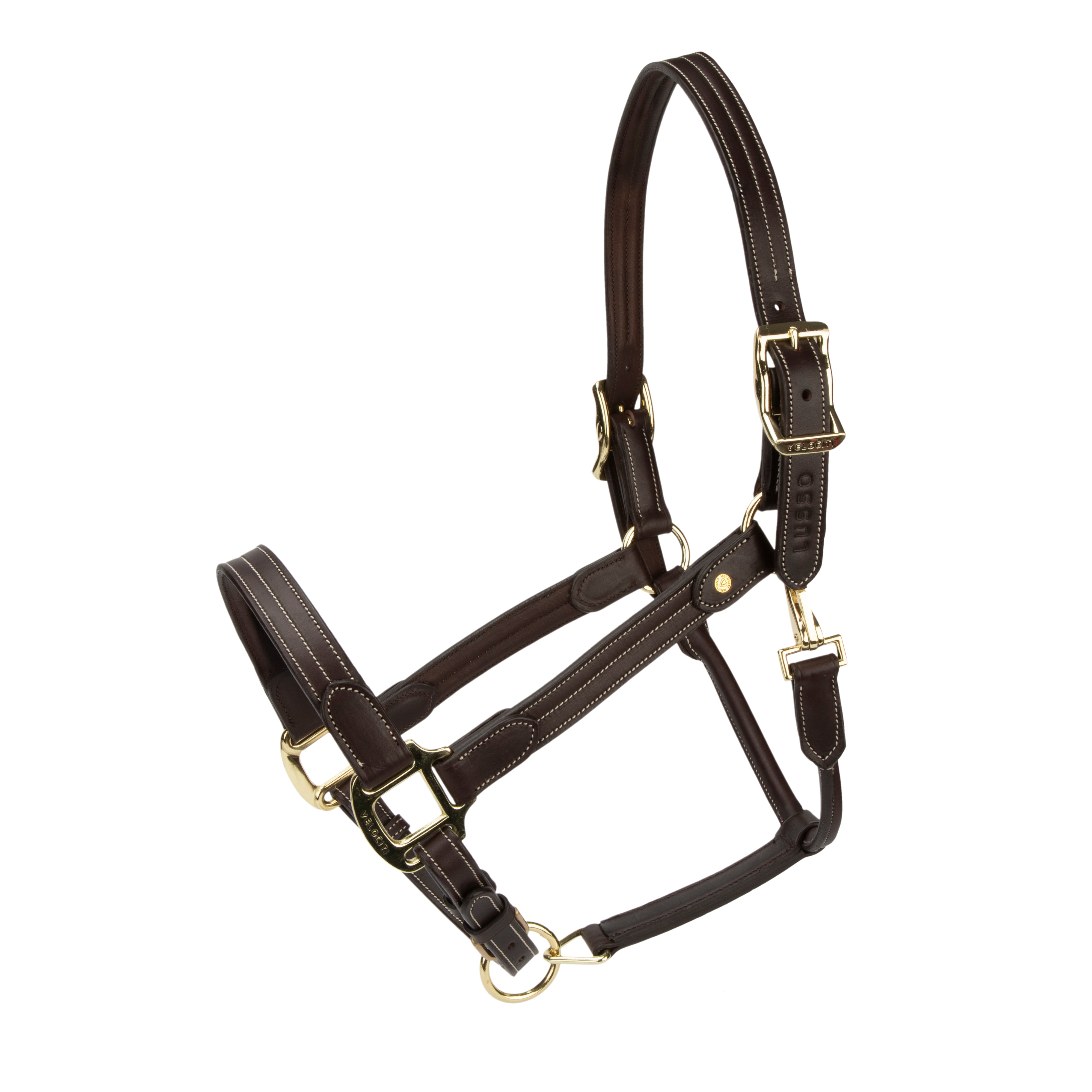 Velociti Lusso Girona Leather Halter-Horse Halters-Pegasus-Havana-Pony-Evolution Equestrian Co.